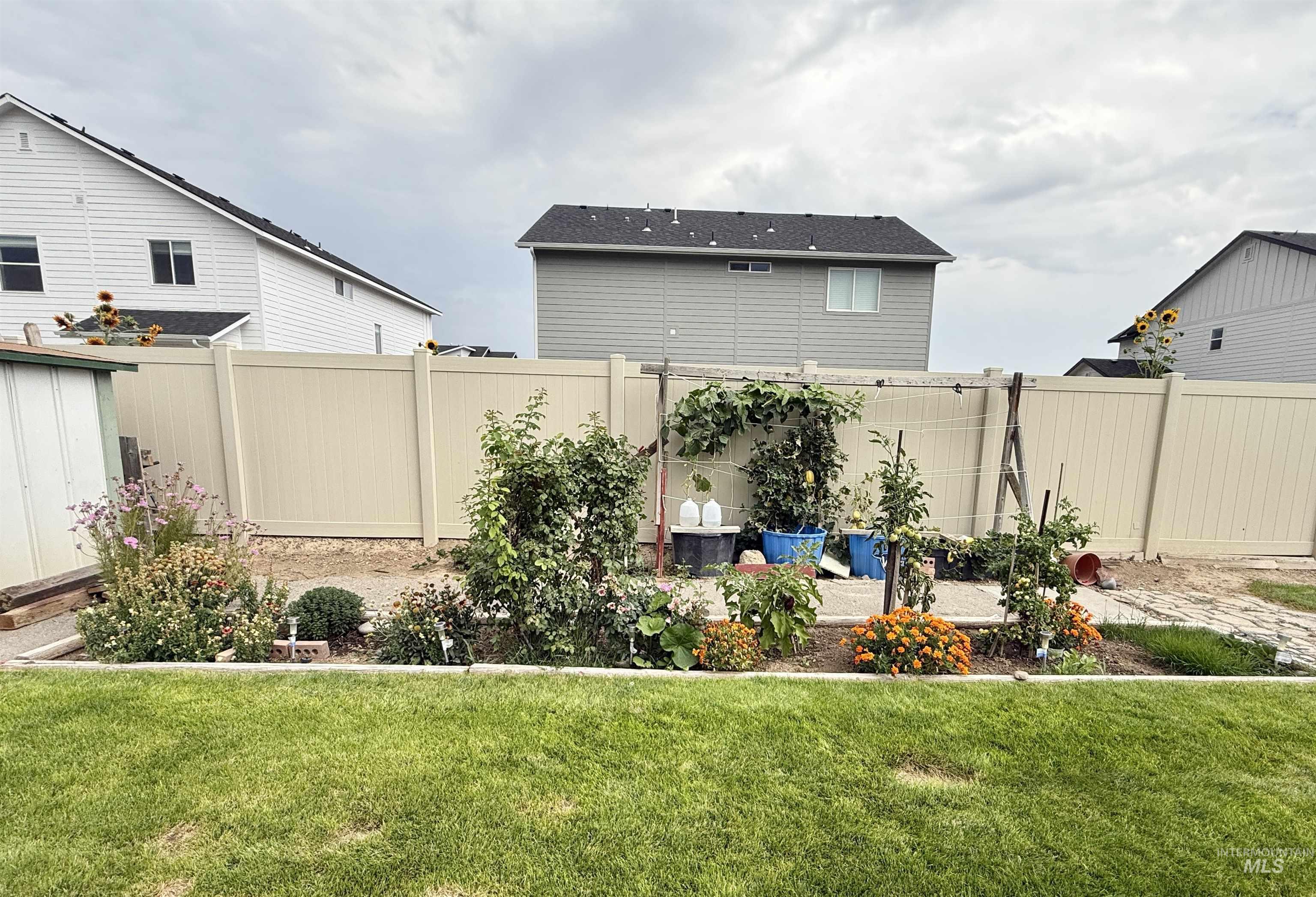 View of fenced backyard