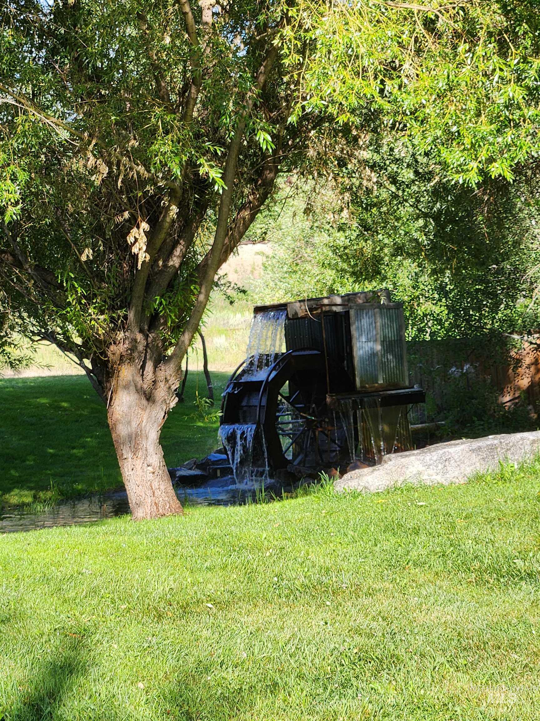 View of grassy yard