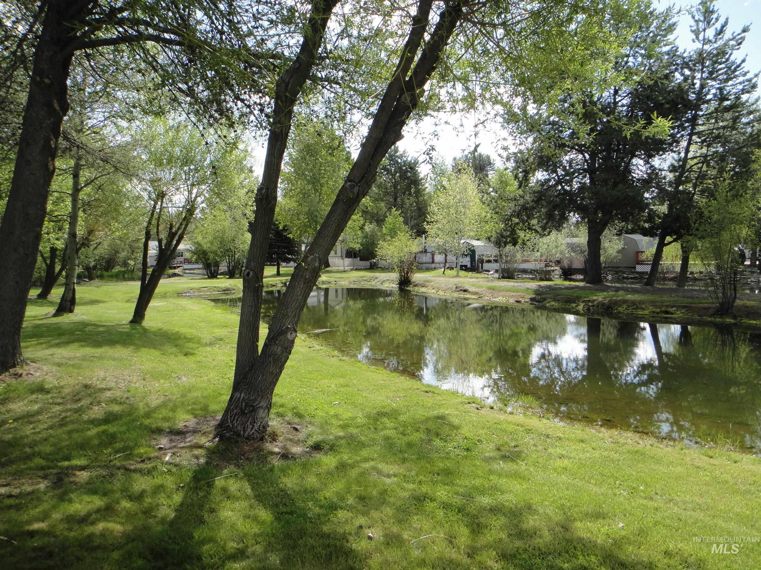 Water view