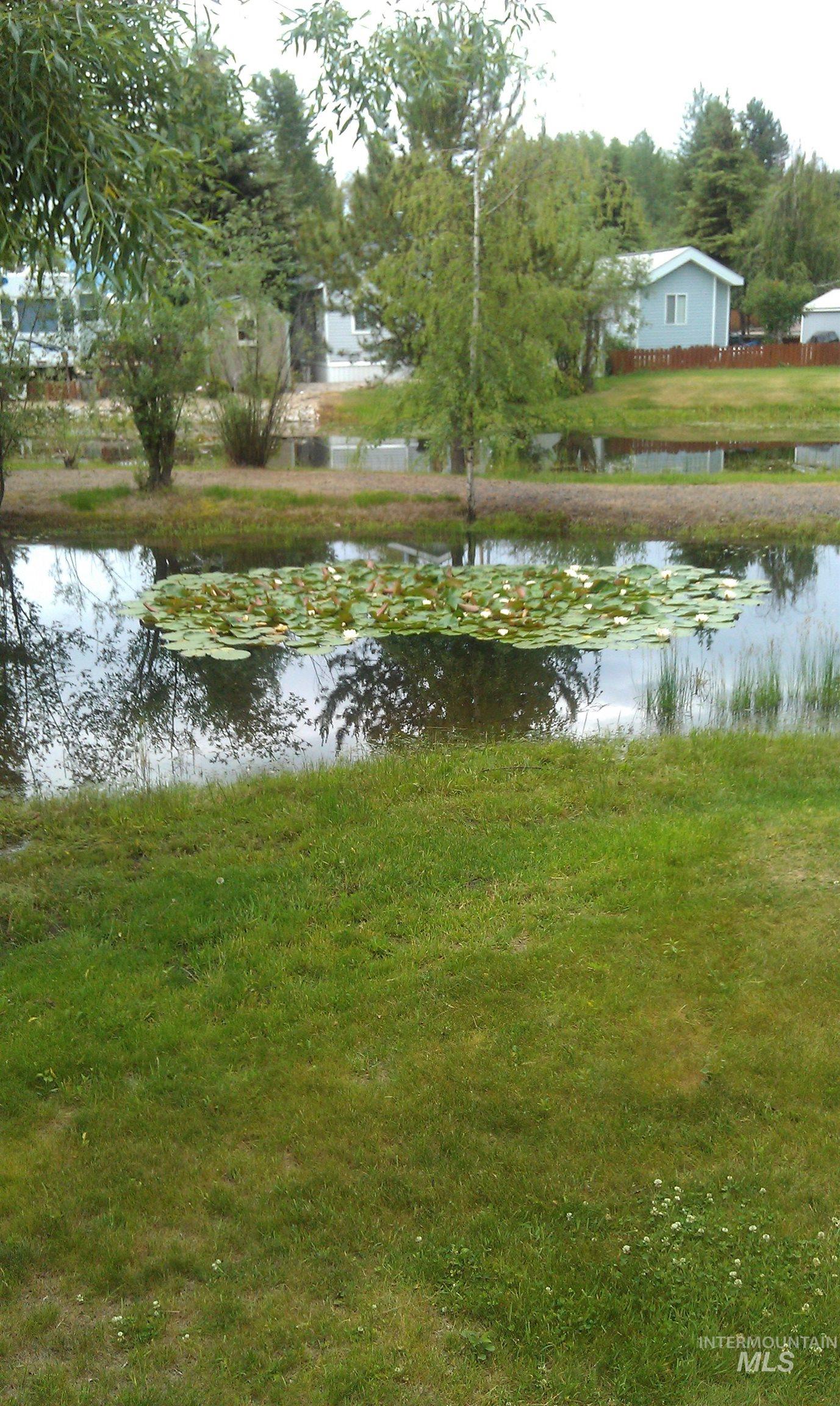 Water view