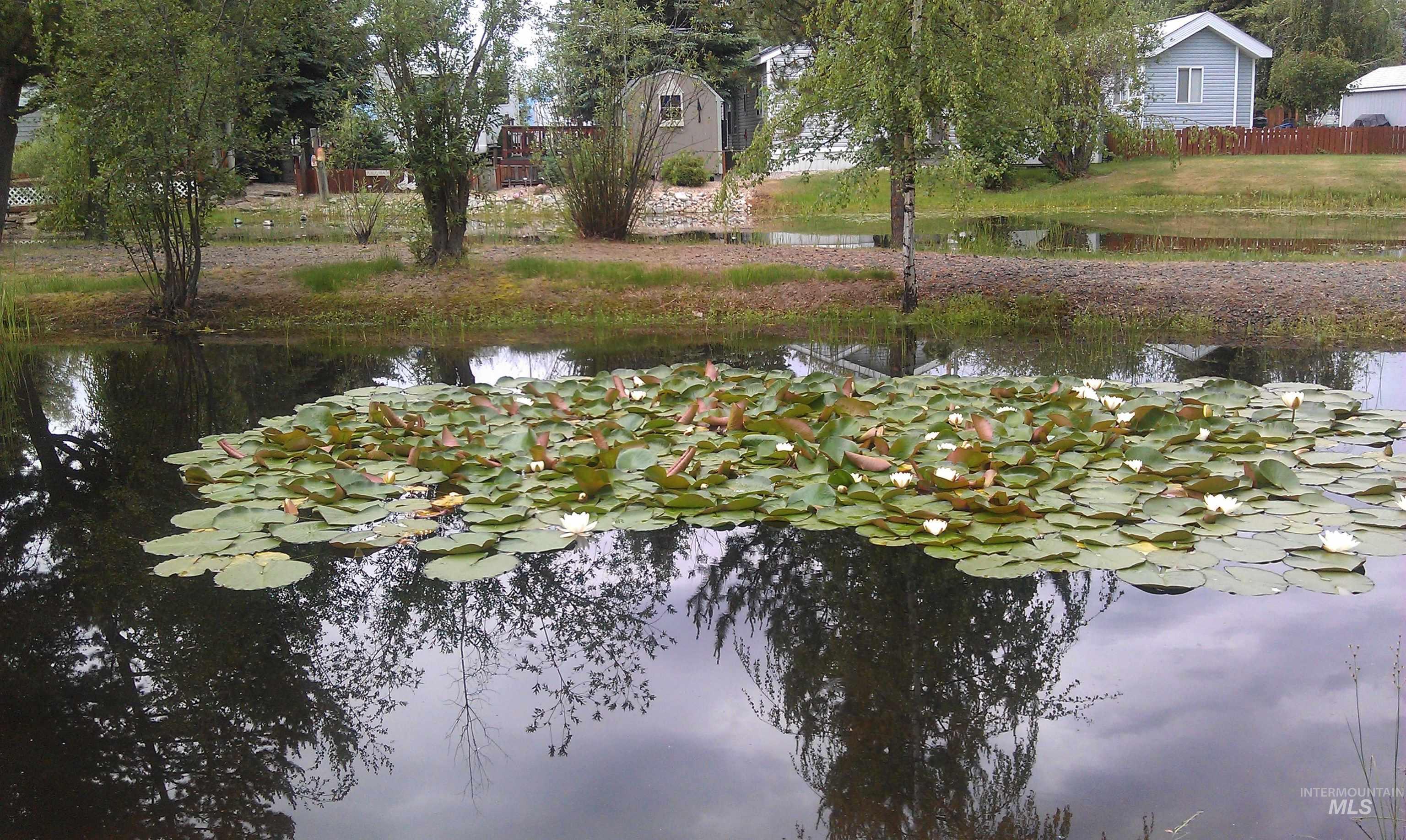 Water view