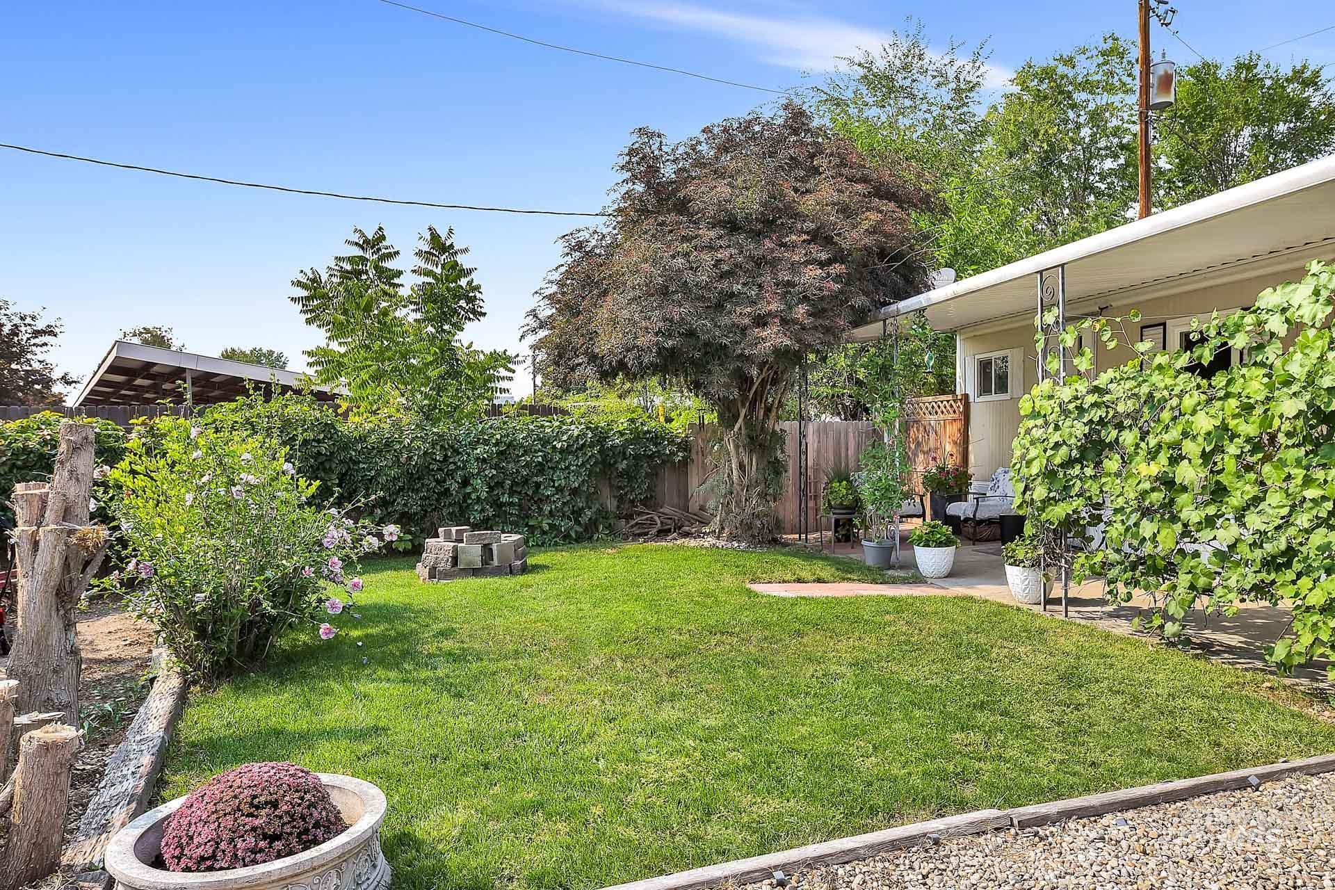 View of yard featuring a patio area