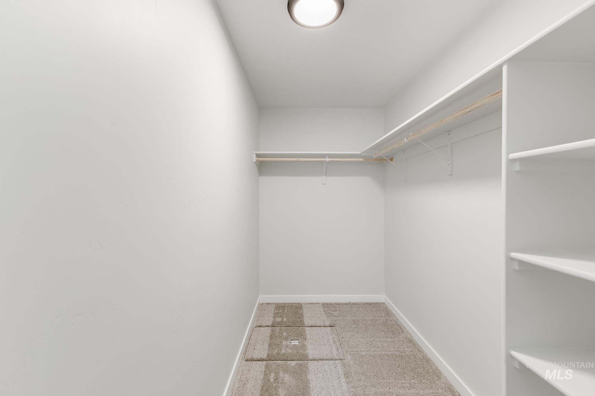 Spacious closet featuring carpet flooring