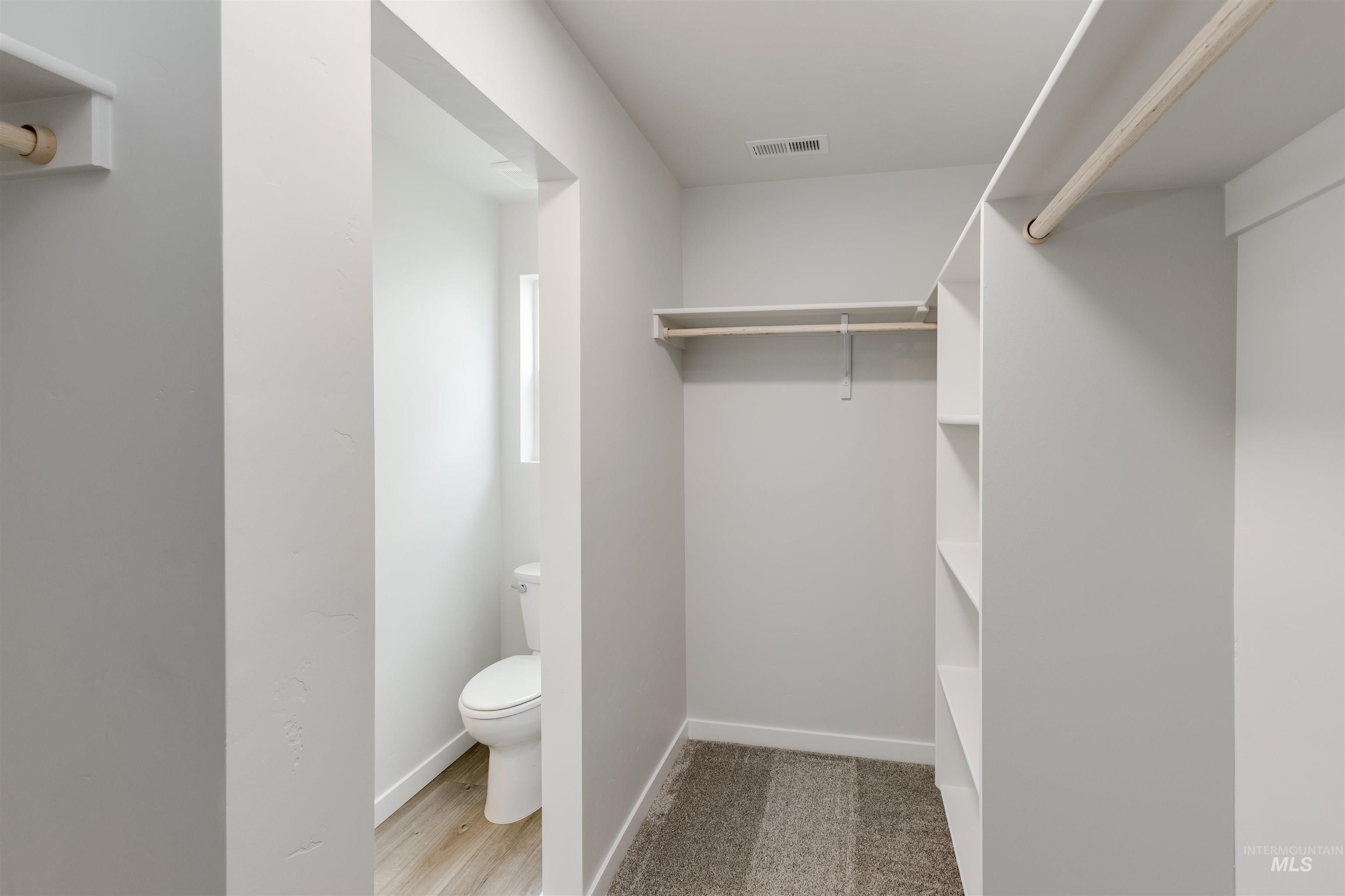 Spacious closet with carpet flooring