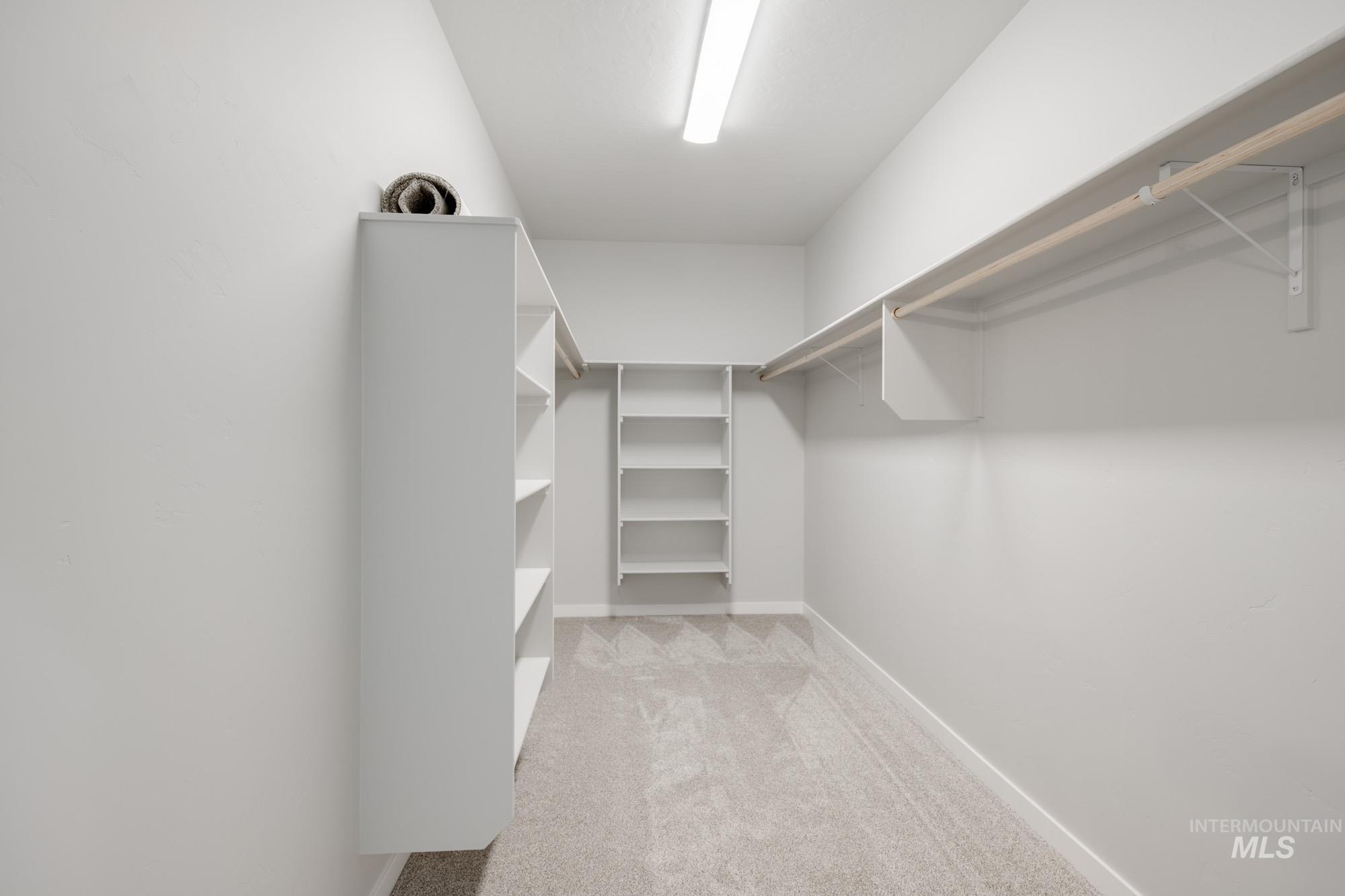Spacious closet featuring light colored carpet