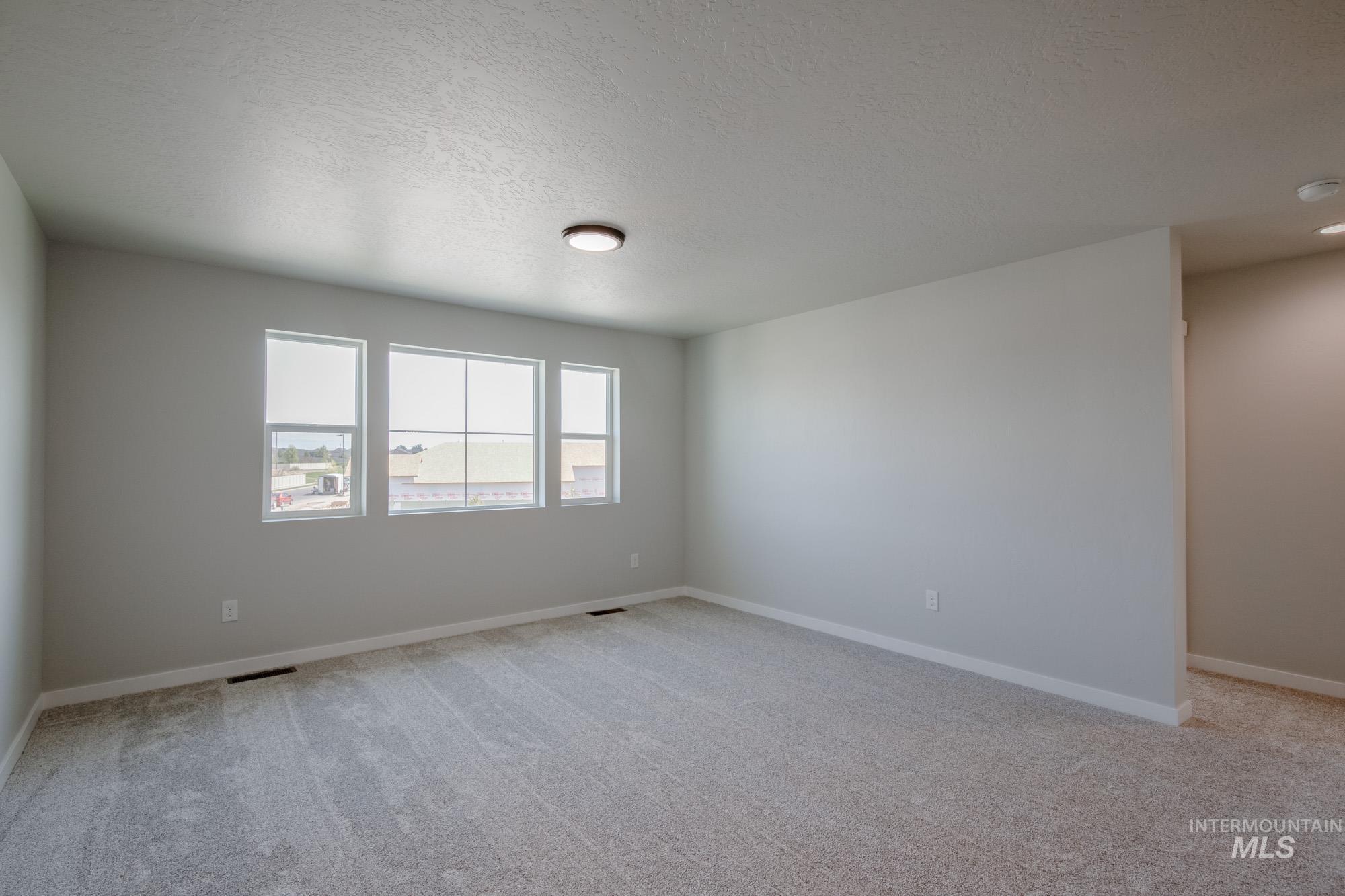 Unfurnished room featuring light carpet and a textured ceiling