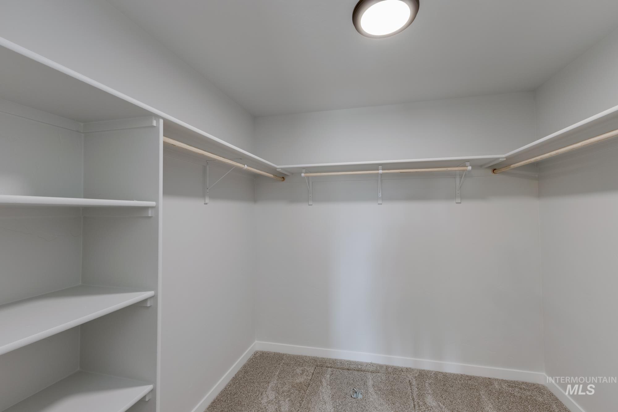 Walk in closet featuring light colored carpet