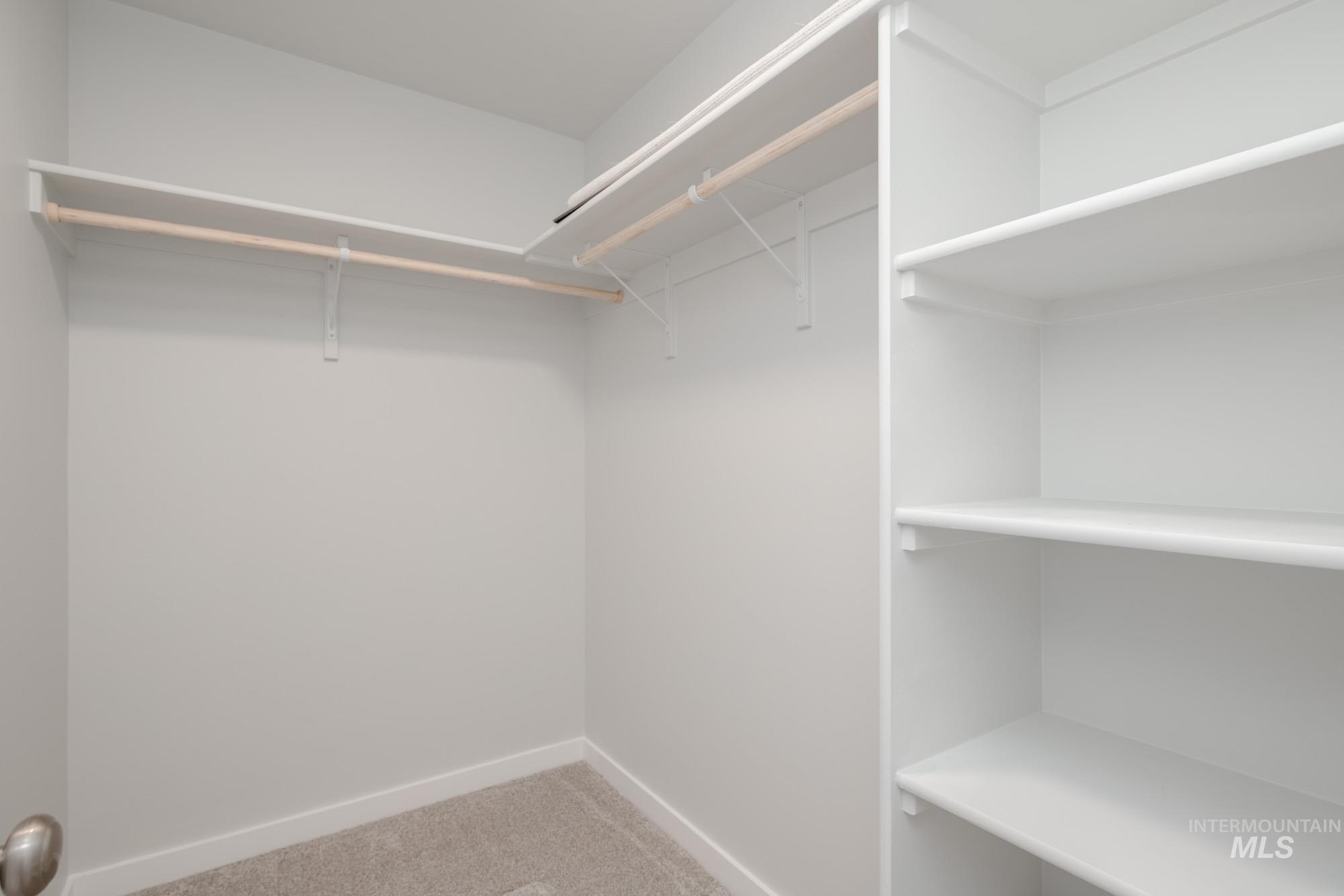 Spacious closet featuring carpet