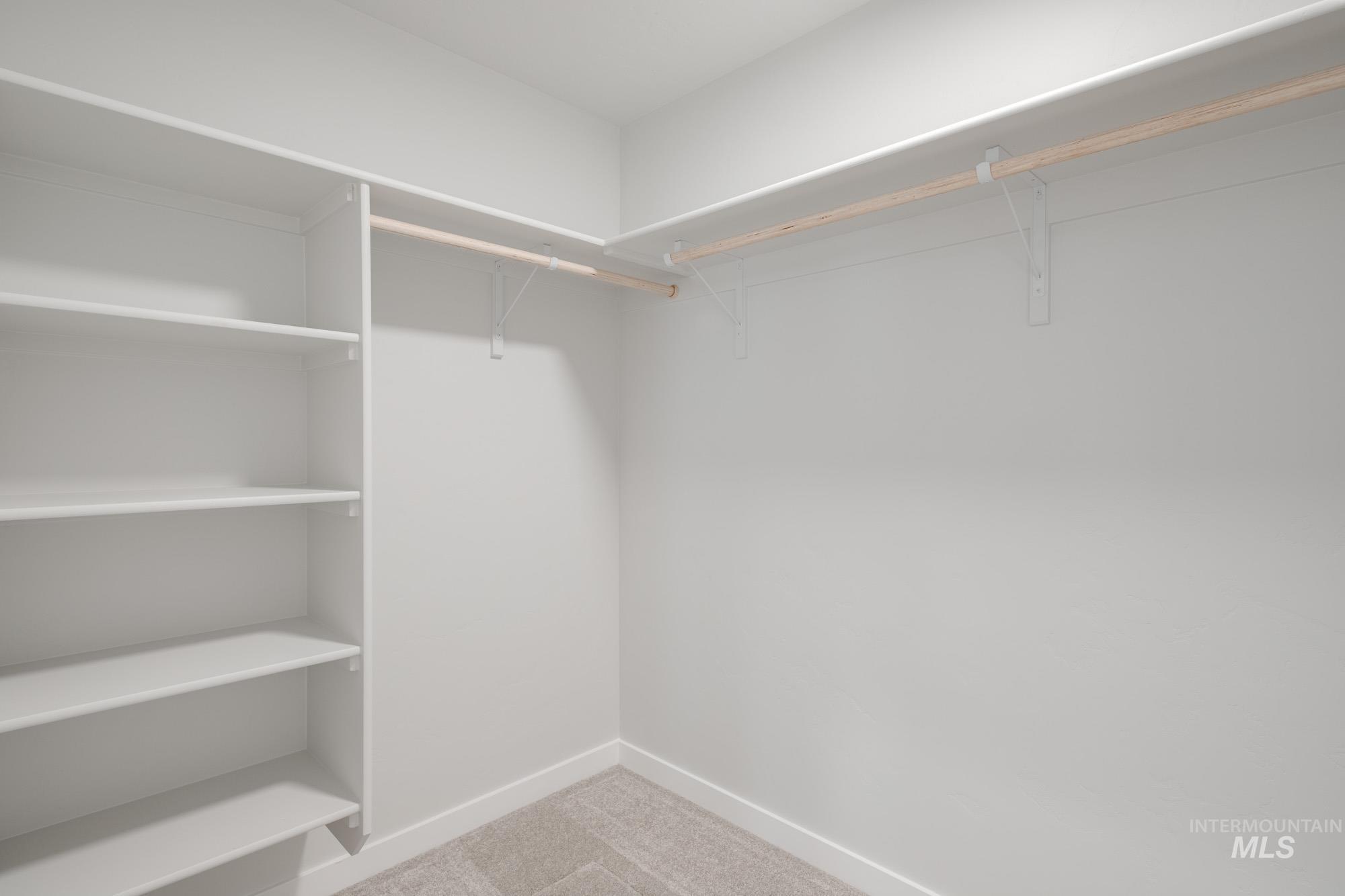 Walk in closet featuring carpet flooring