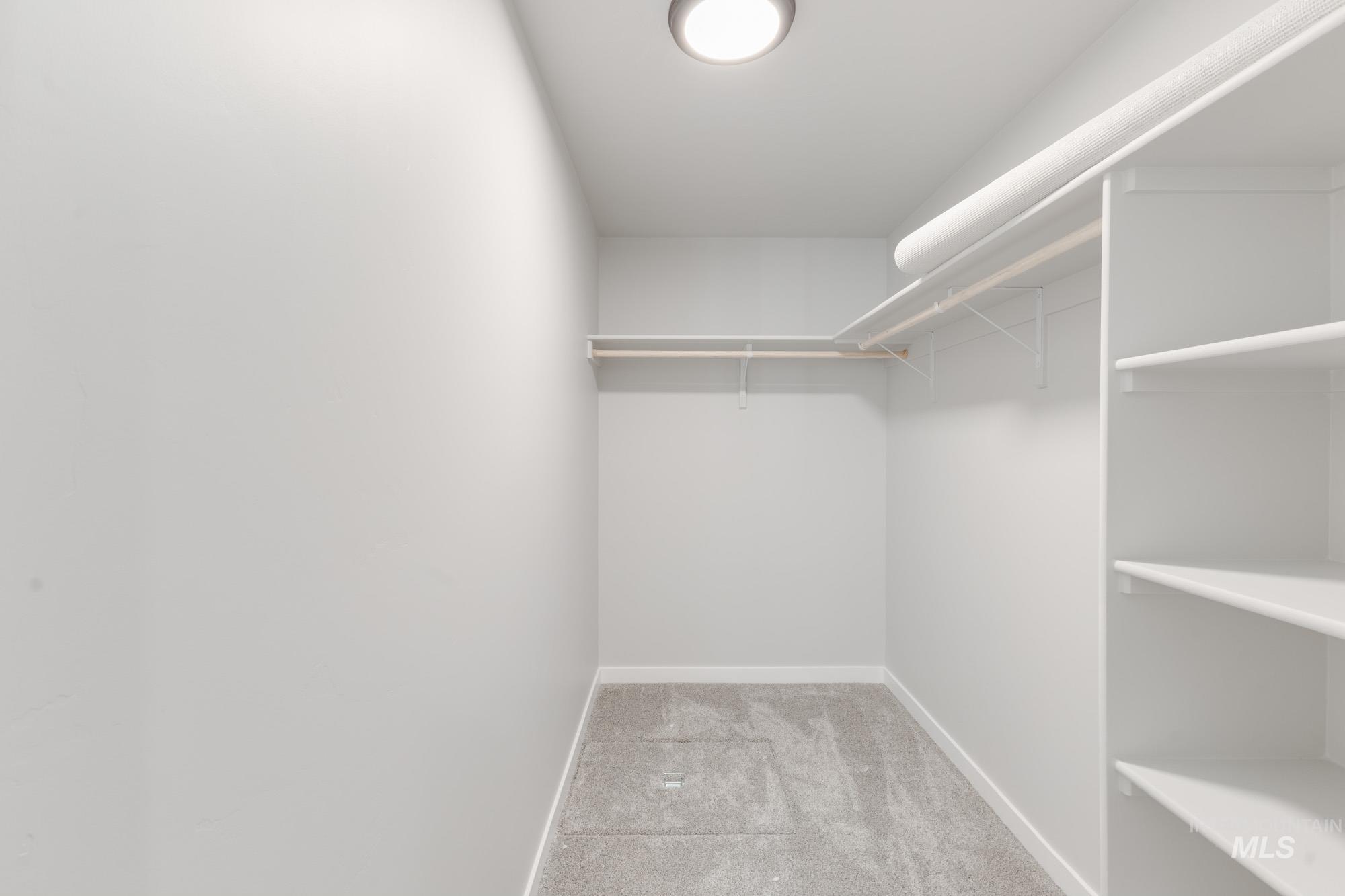 Walk in closet with light colored carpet