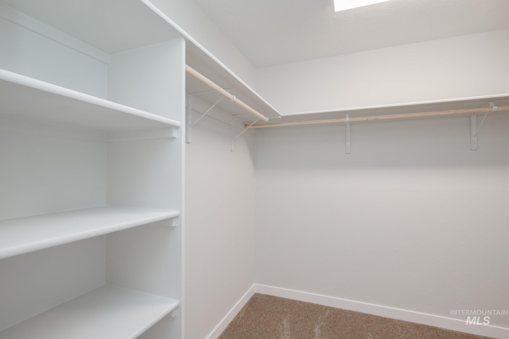 Spacious closet with carpet floors