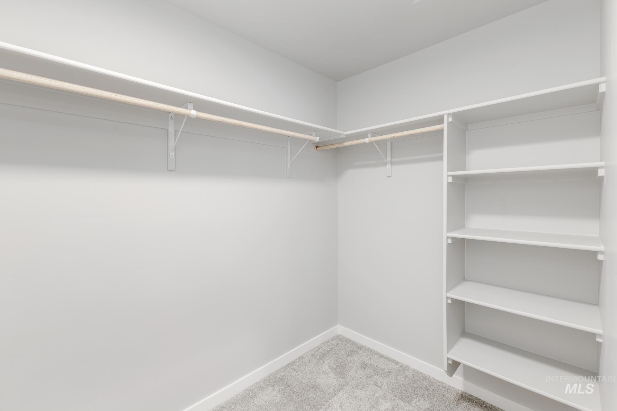 Walk in closet with carpet flooring