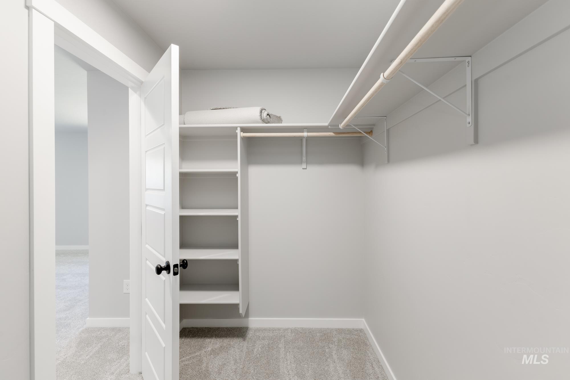 Spacious closet with carpet floors