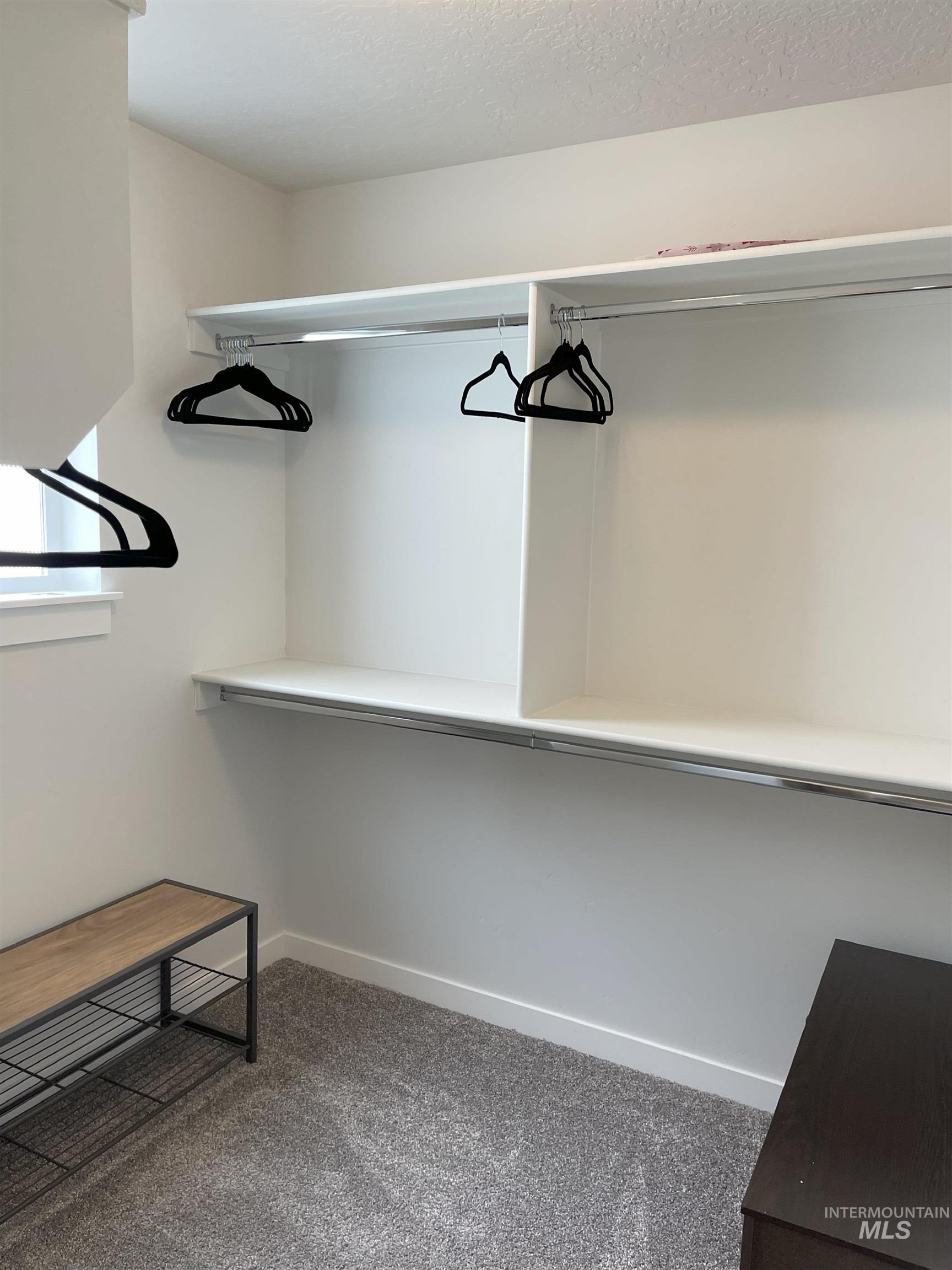 Spacious closet with dark colored carpet