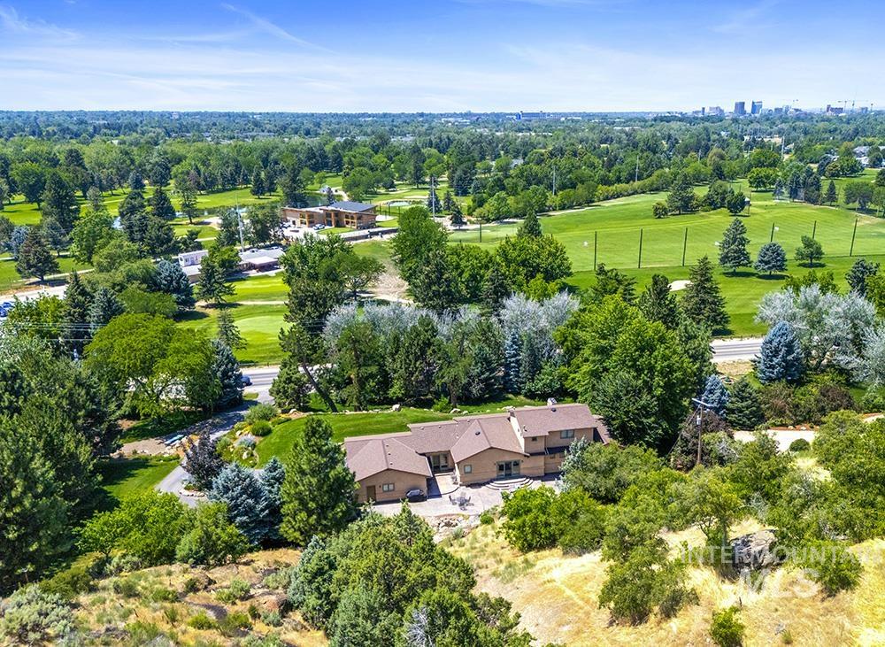 Bird's eye view of a tree filled landscape
