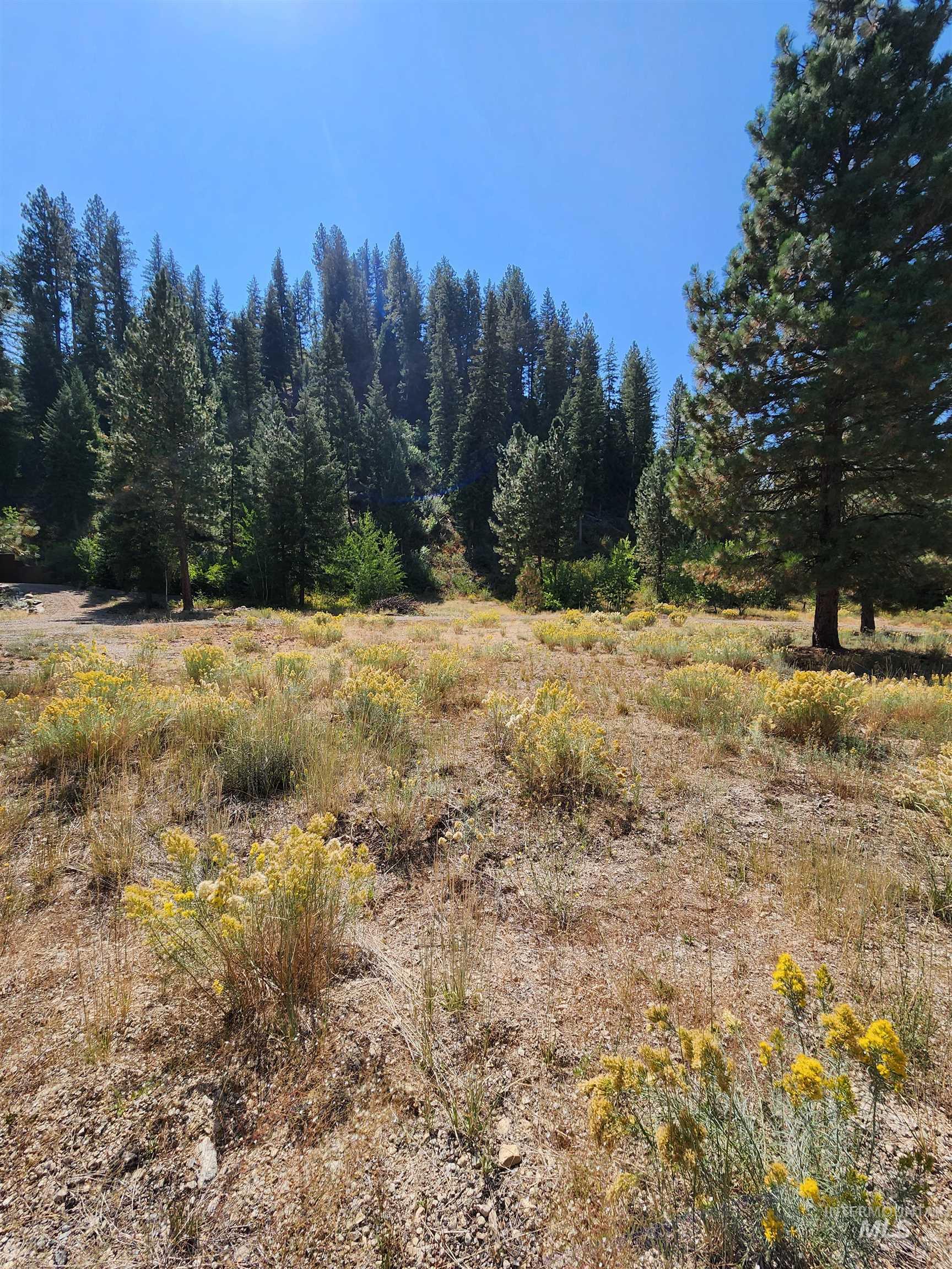 1509 E Pine Creek Road, Featherville, Idaho 83647, 3 Bedrooms, 2 Bathrooms, Residential For Sale, Price $800,000, 98960922