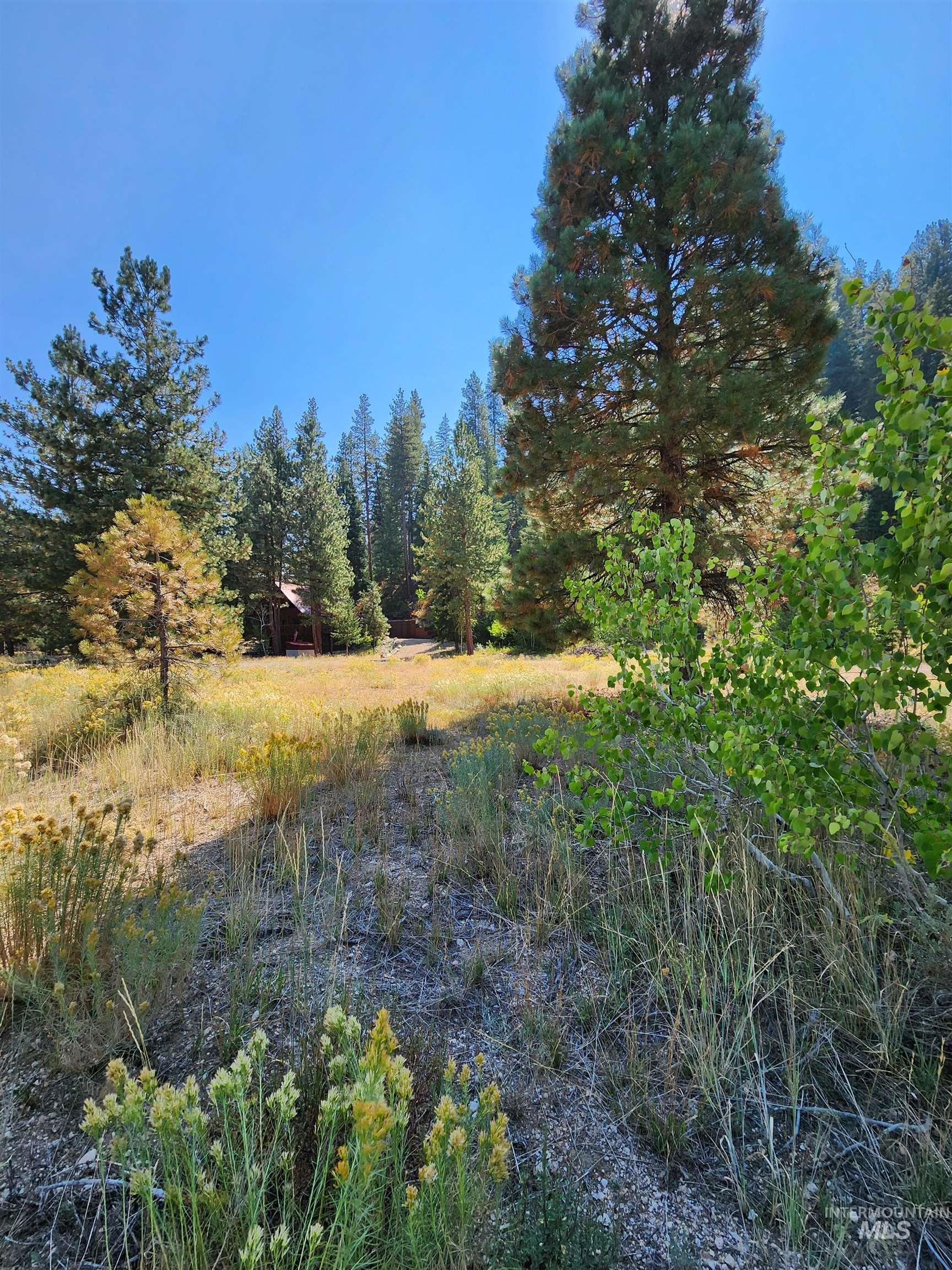 1509 E Pine Creek Road, Featherville, Idaho 83647, 3 Bedrooms, 2 Bathrooms, Residential For Sale, Price $800,000, 98960922
