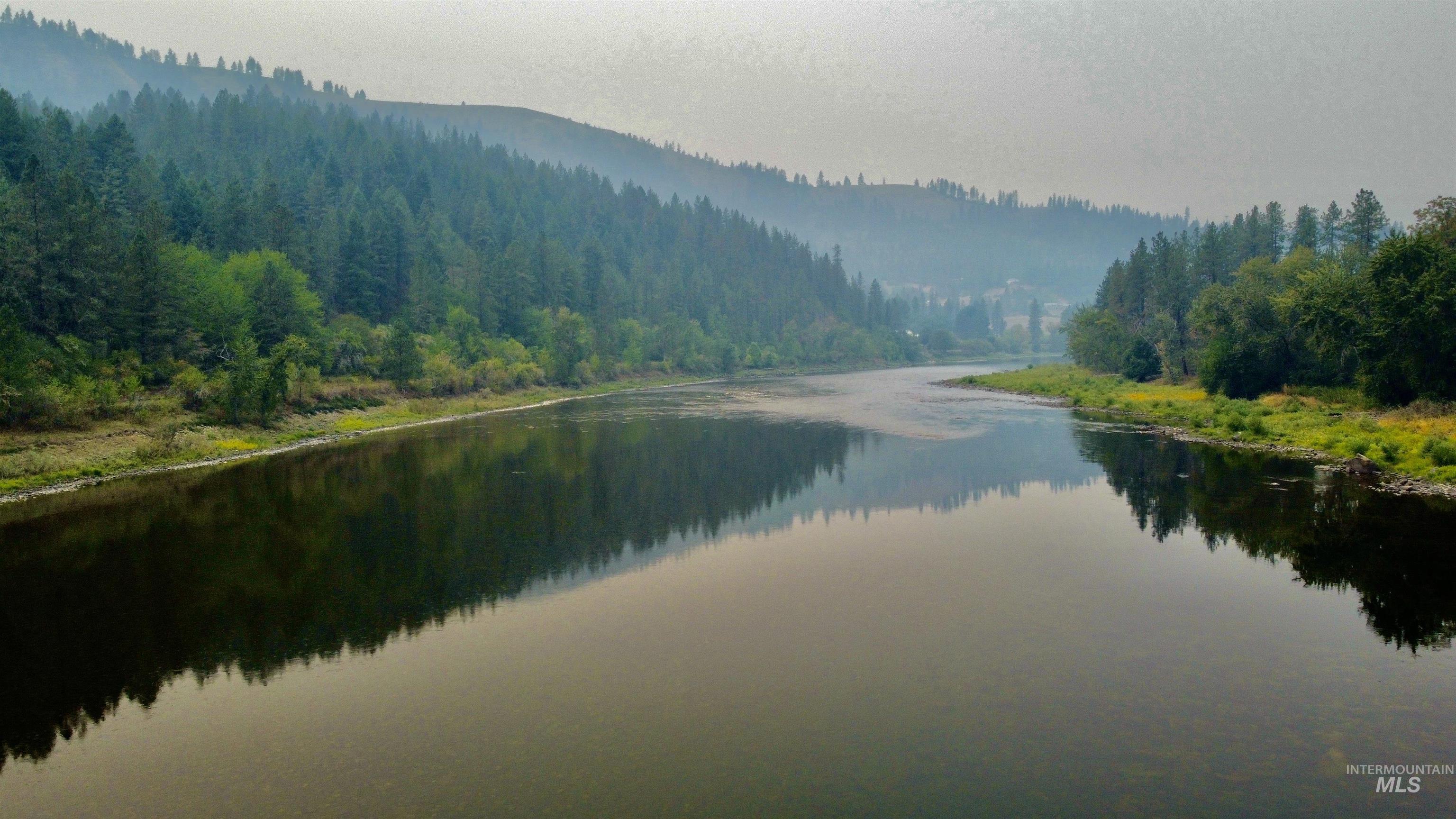 Water view featuring a forest