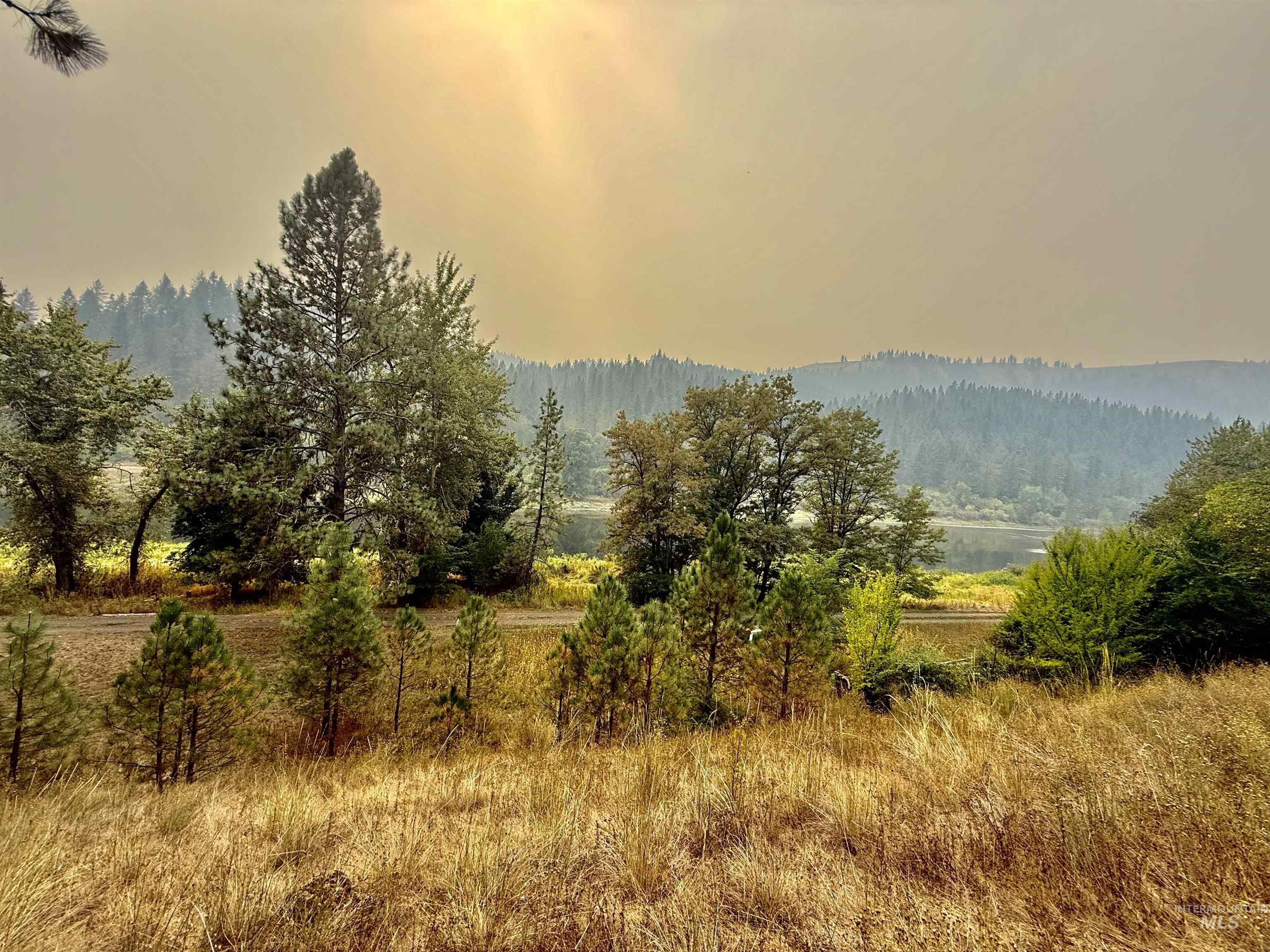 View of mountain backdrop featuring a heavily wooded area