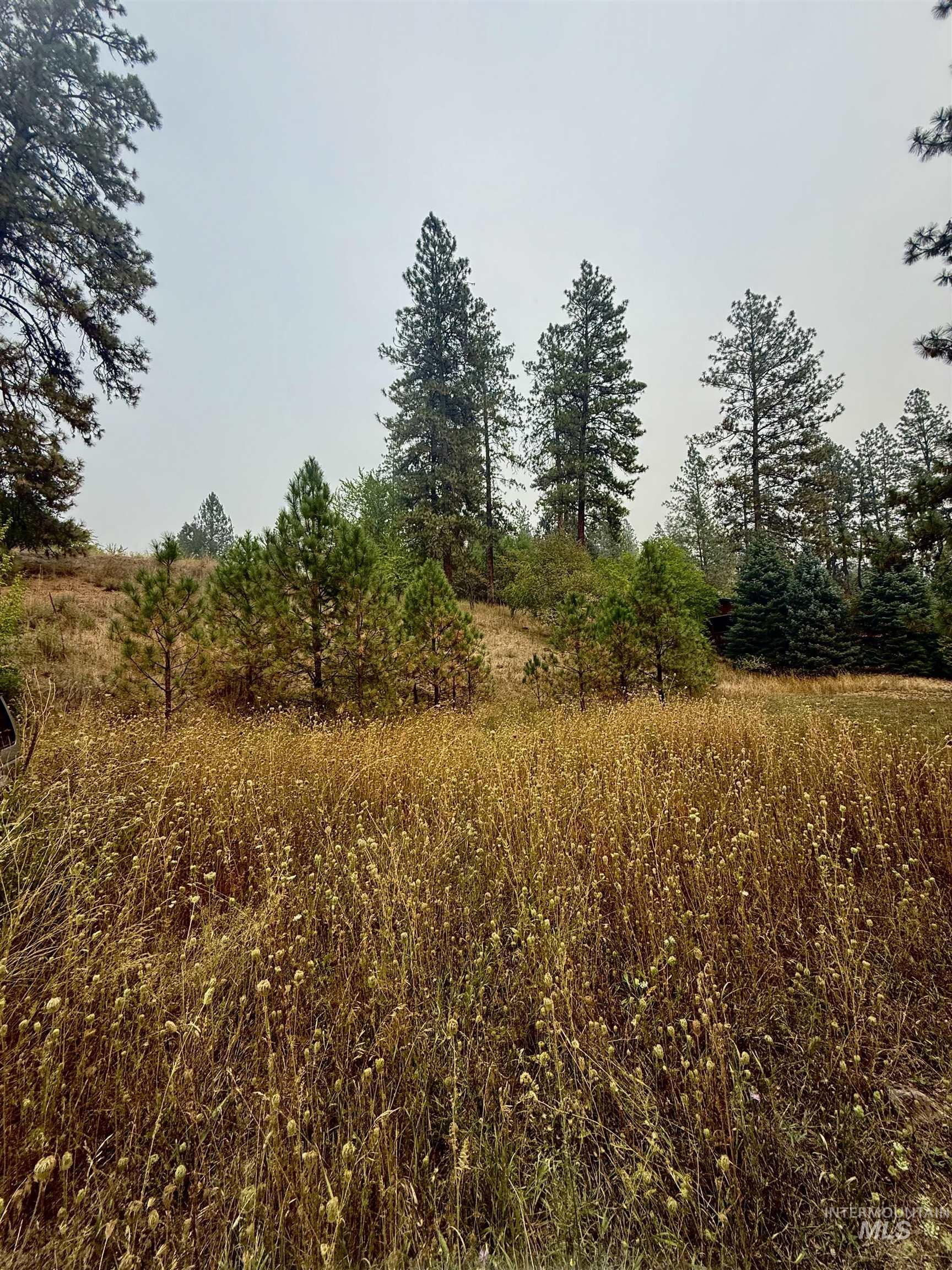 View of undeveloped land