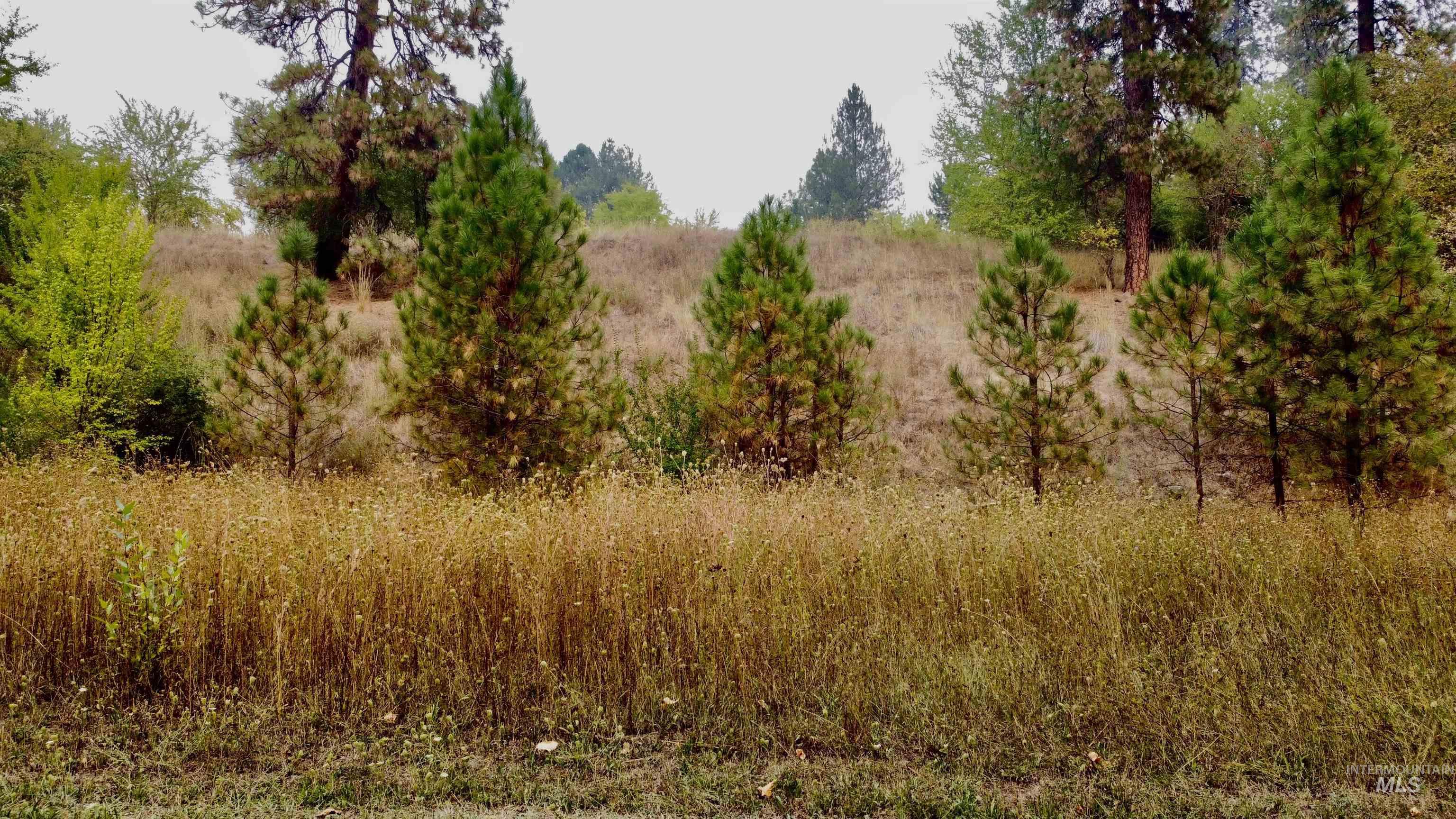 View of undeveloped land
