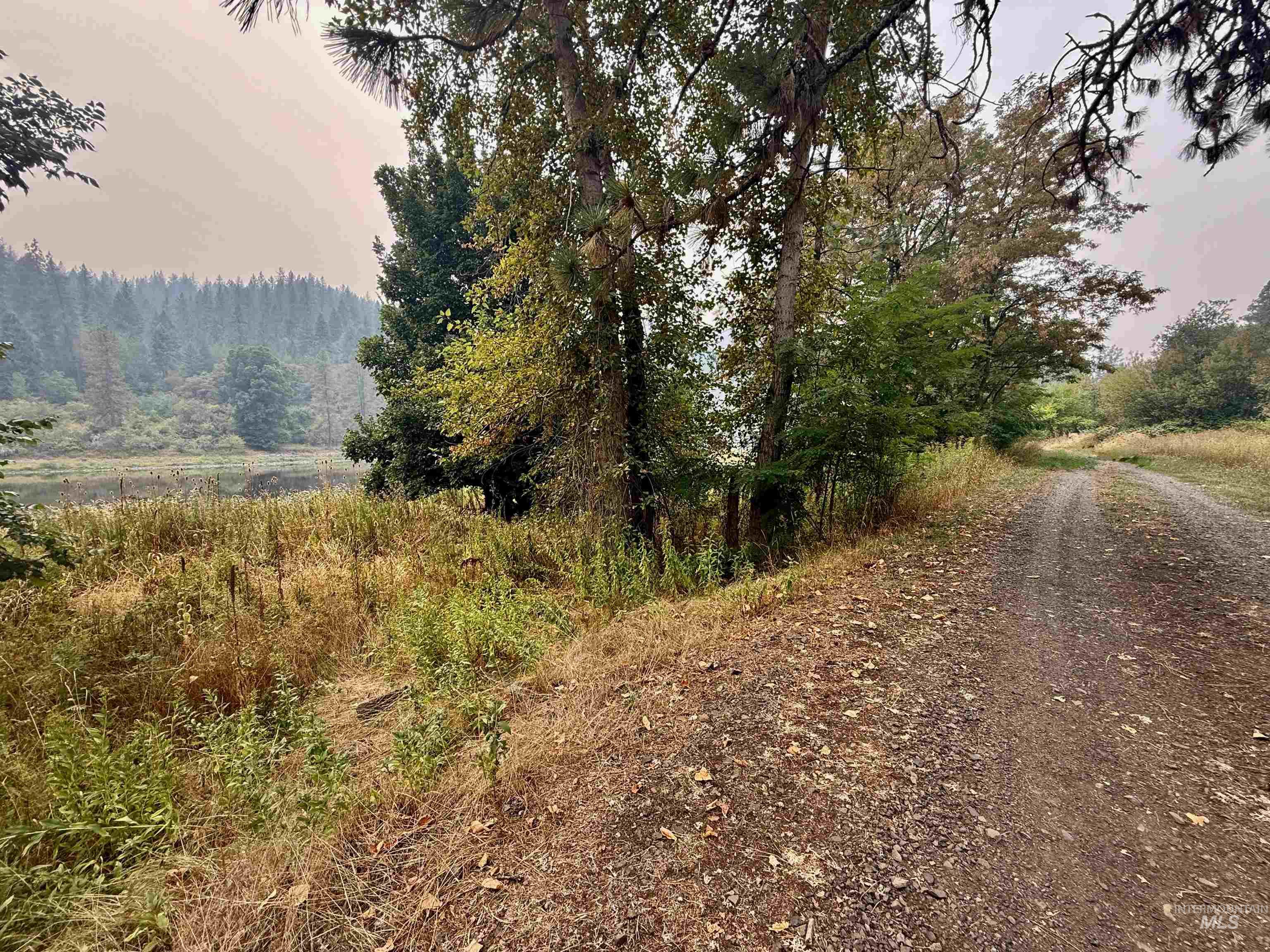 View of street with a forest view