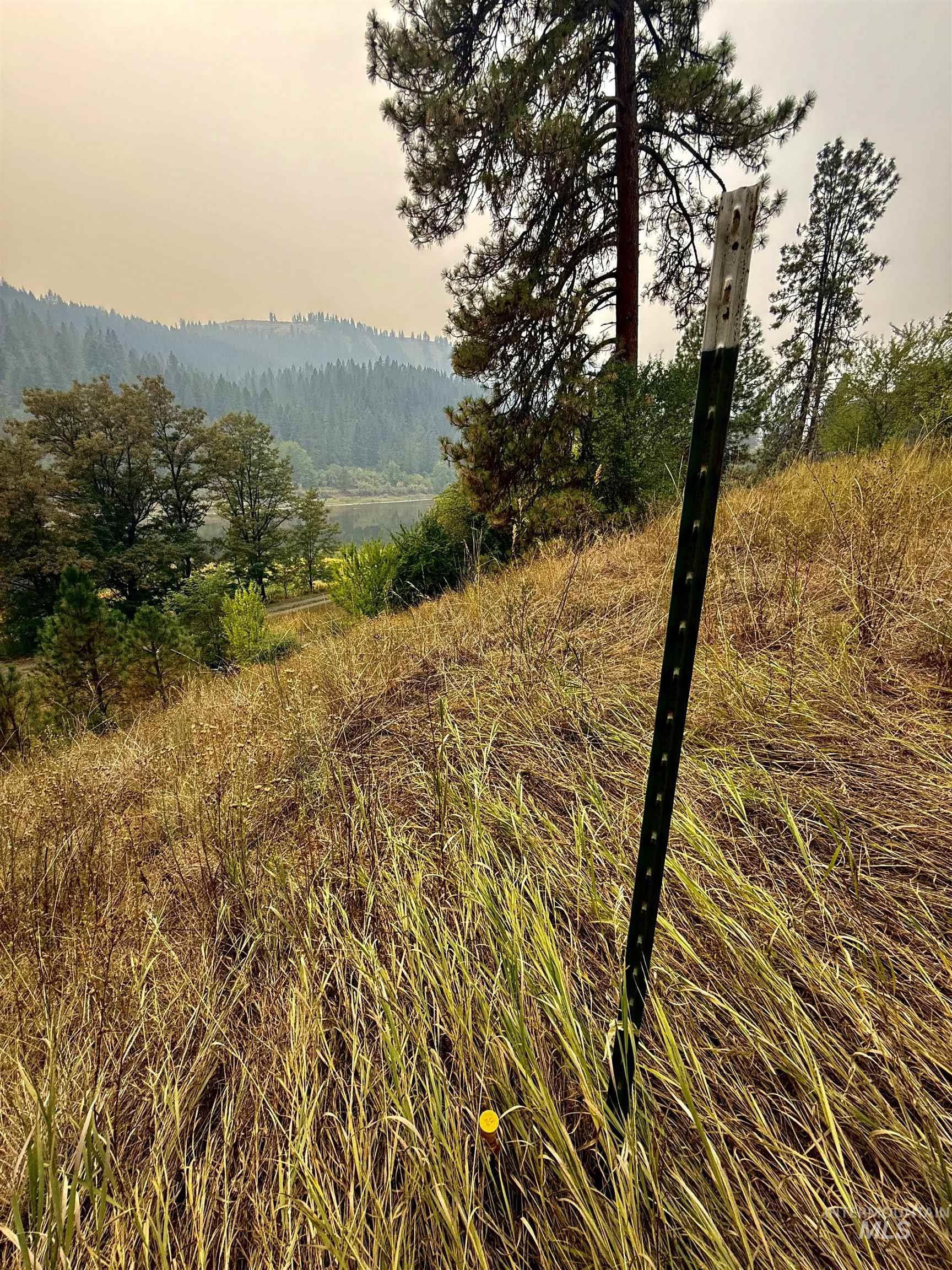 View of mountain background featuring a heavily wooded area