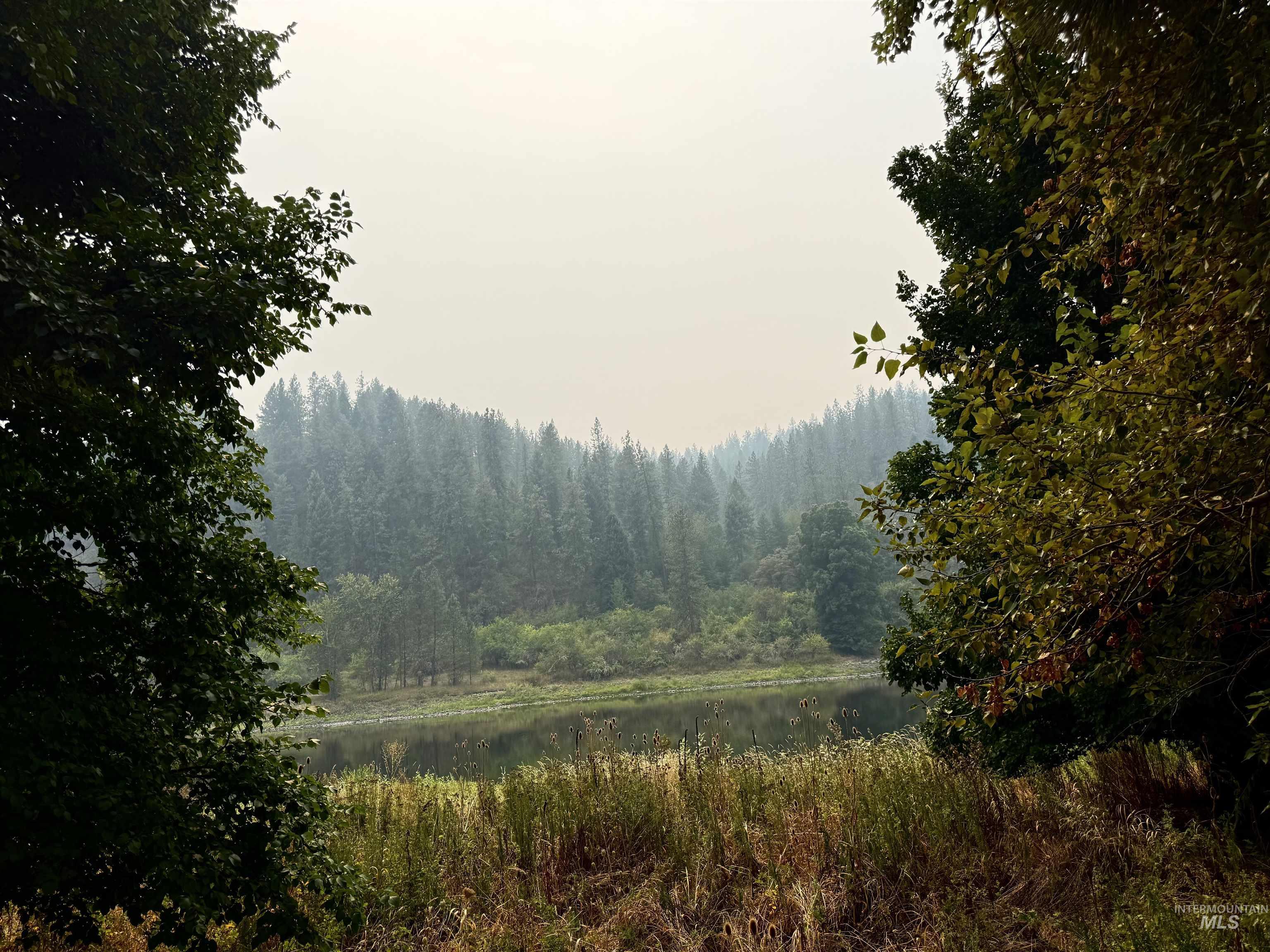 View of tree filled area with a water view
