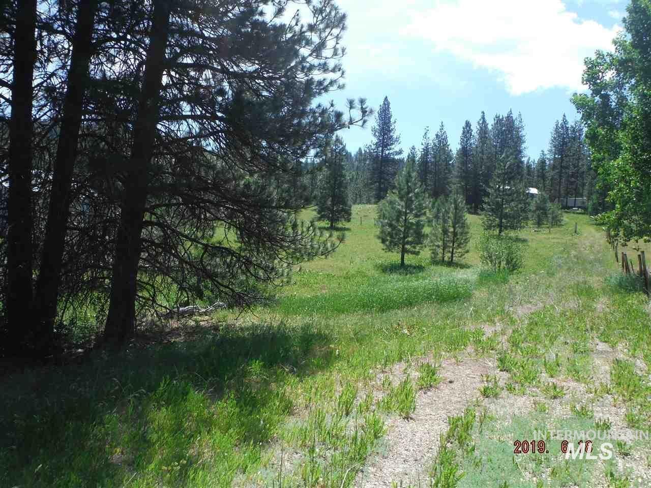 View of local wilderness