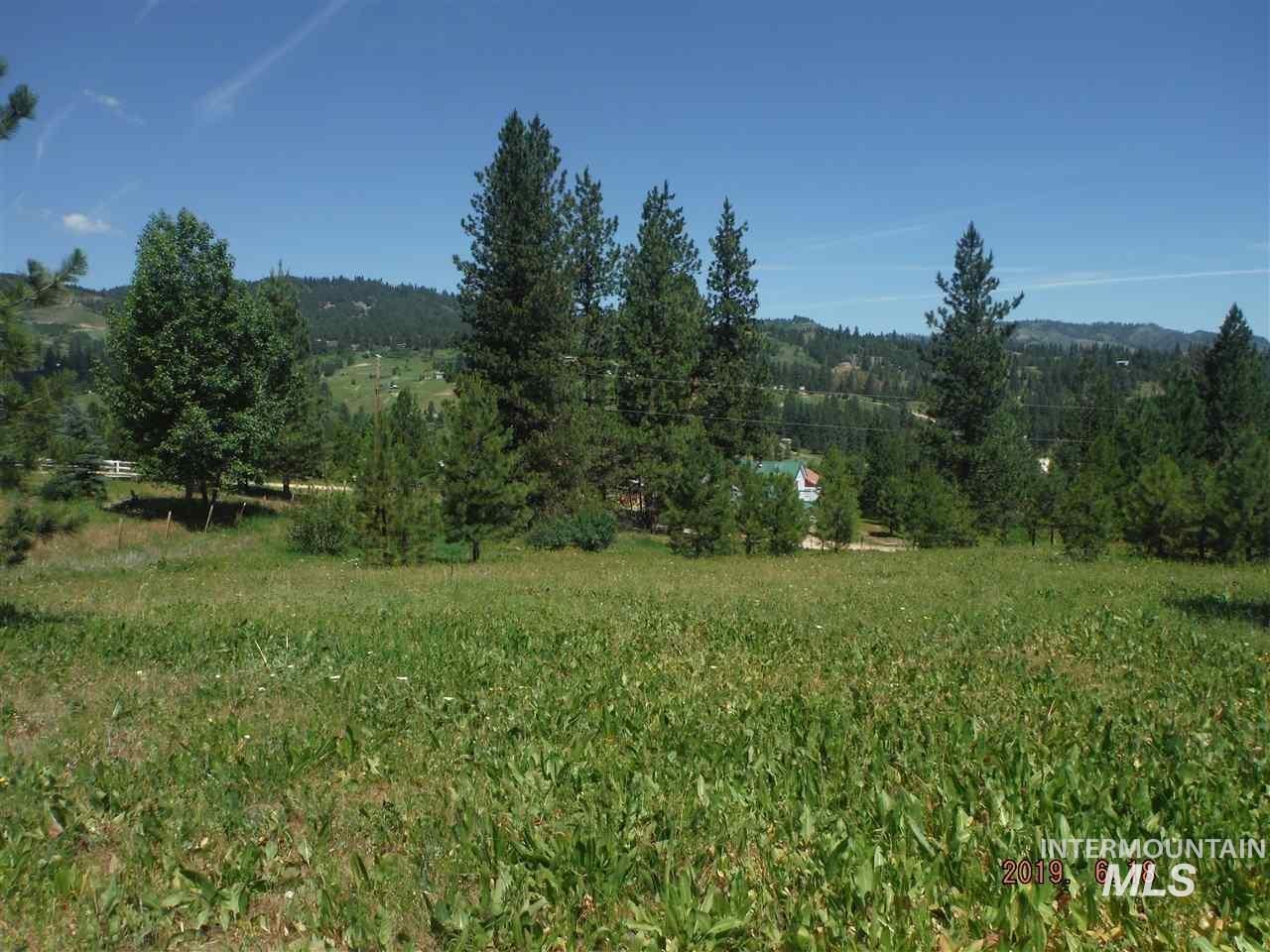 View of yard featuring a mountain view and a view of rural / pastoral area