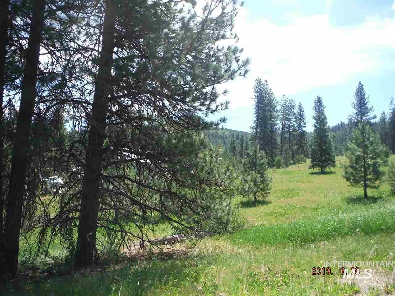 View of woods