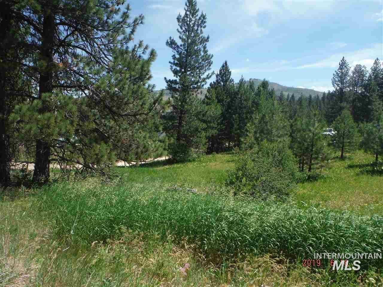 View of woods