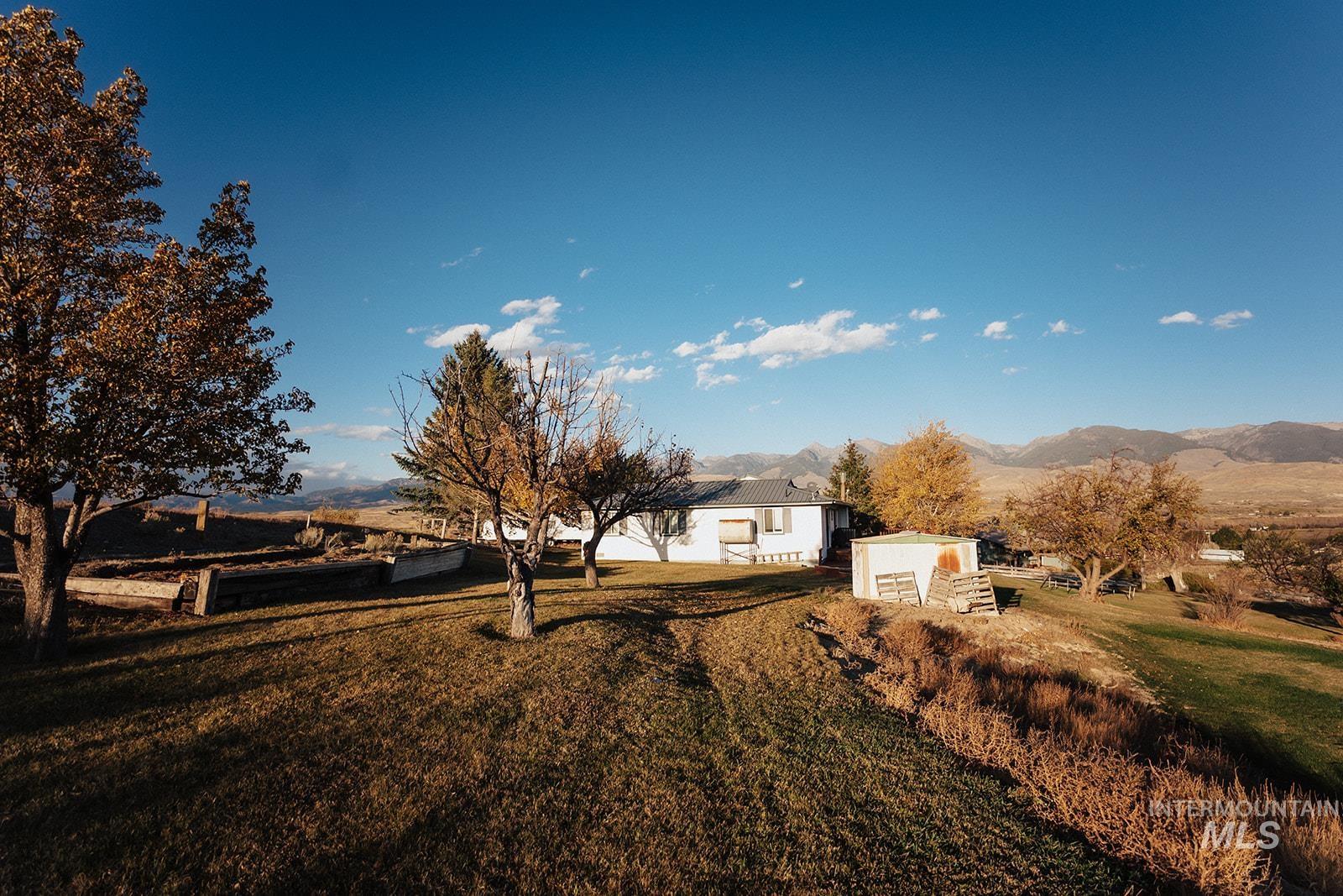 View of grassy yard with a mountain view and a storage unit