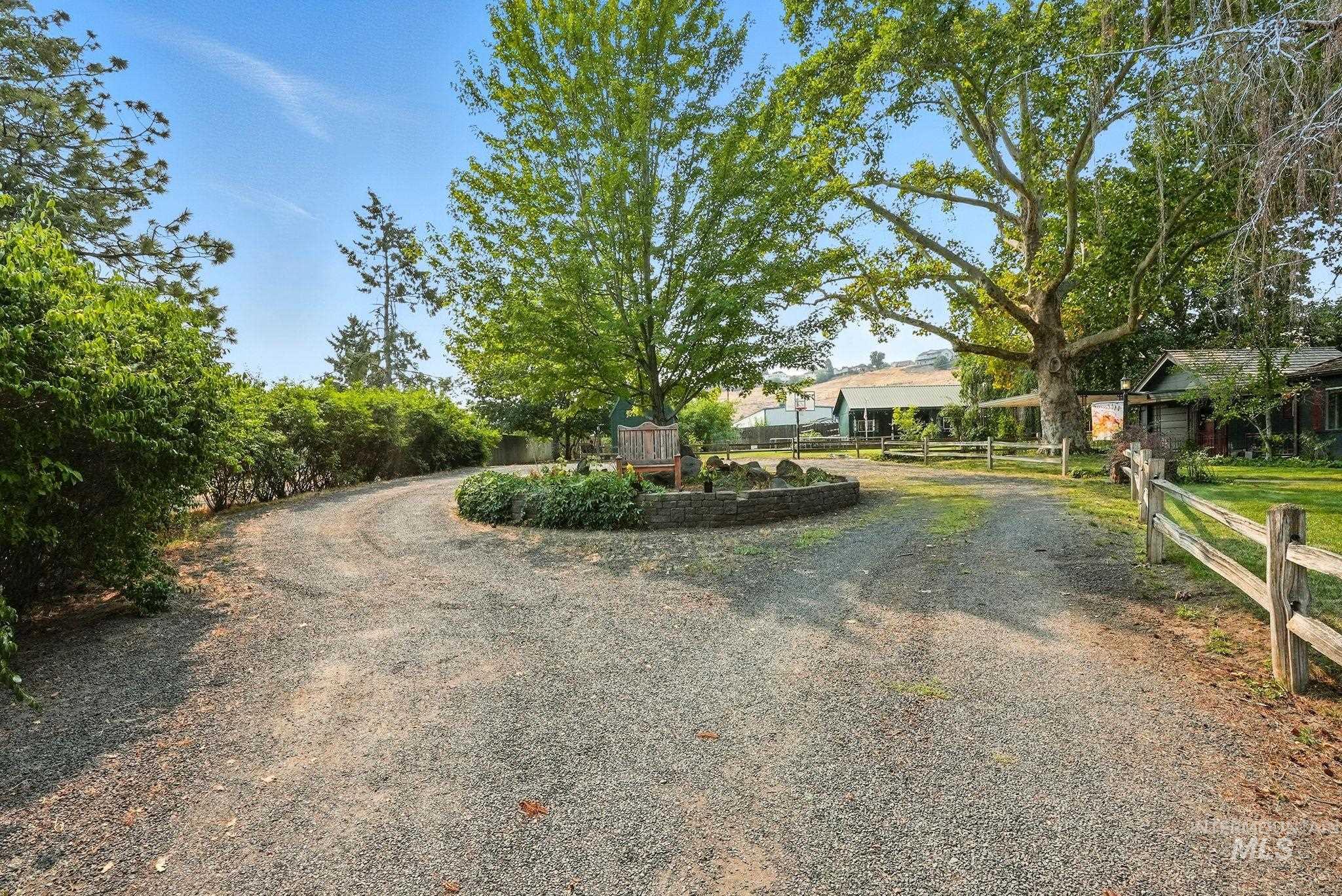 View of dirt / gravel driveway
