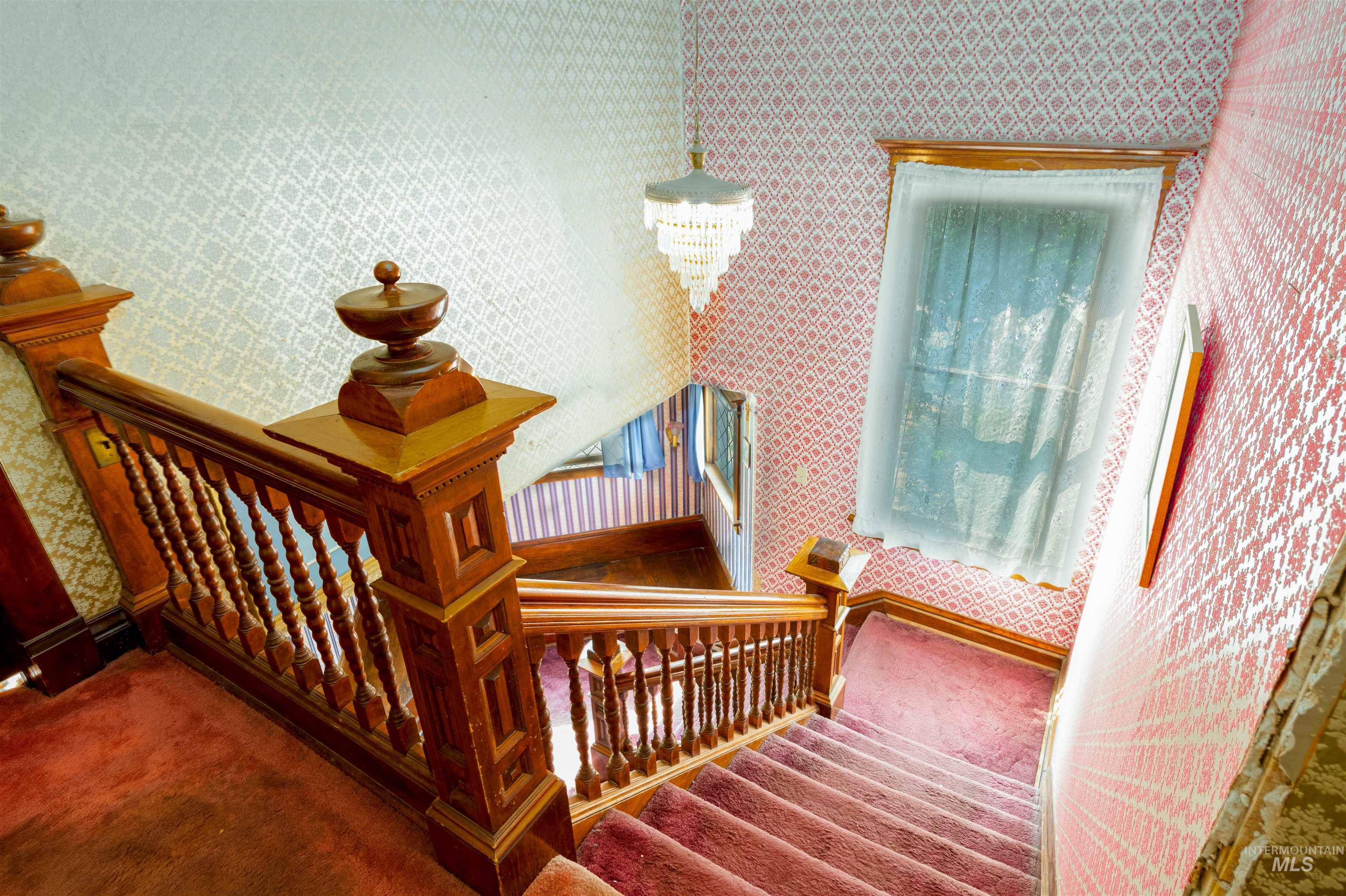 Stairs featuring wallpapered walls and carpet floors