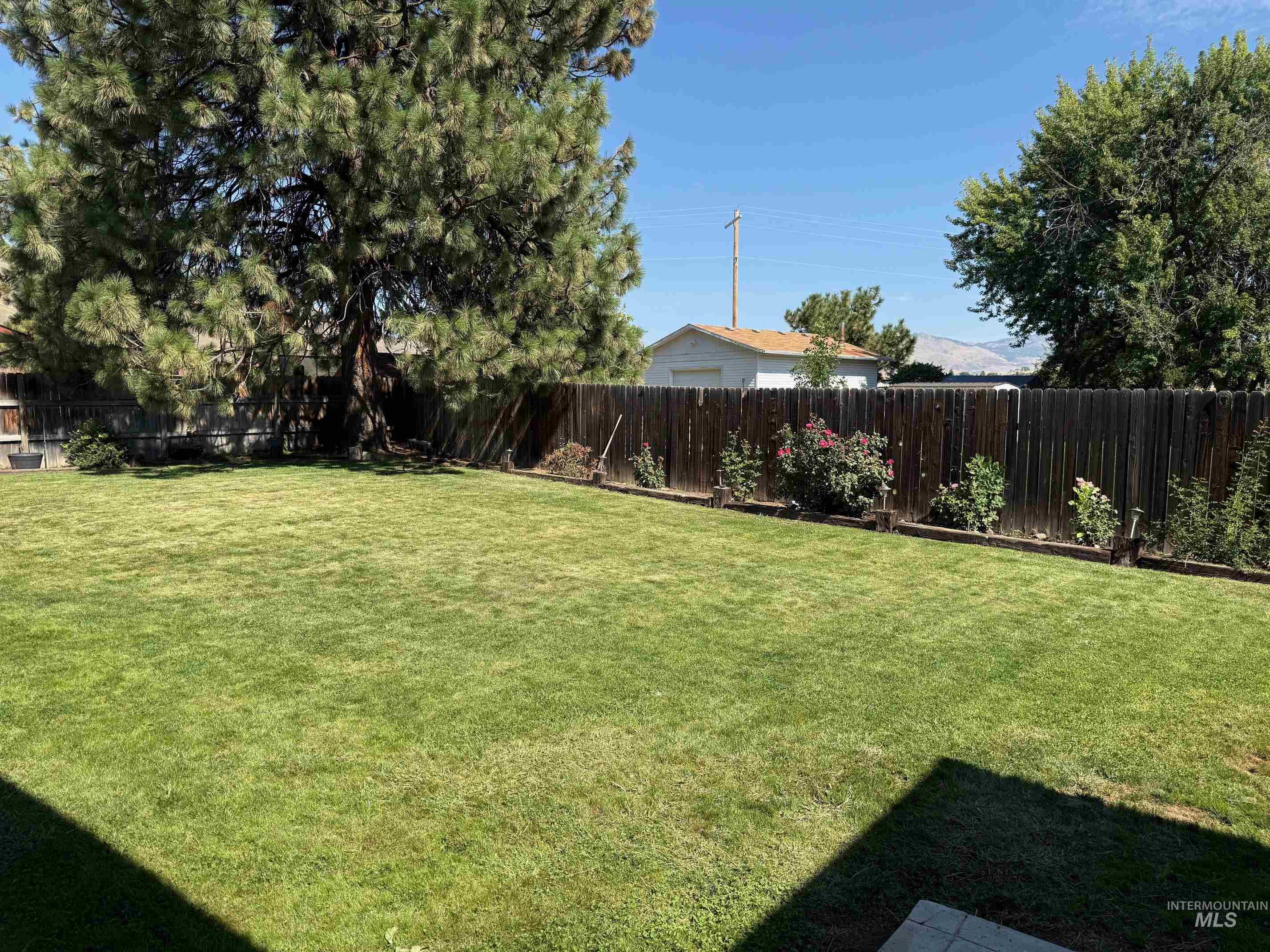 View of fenced backyard