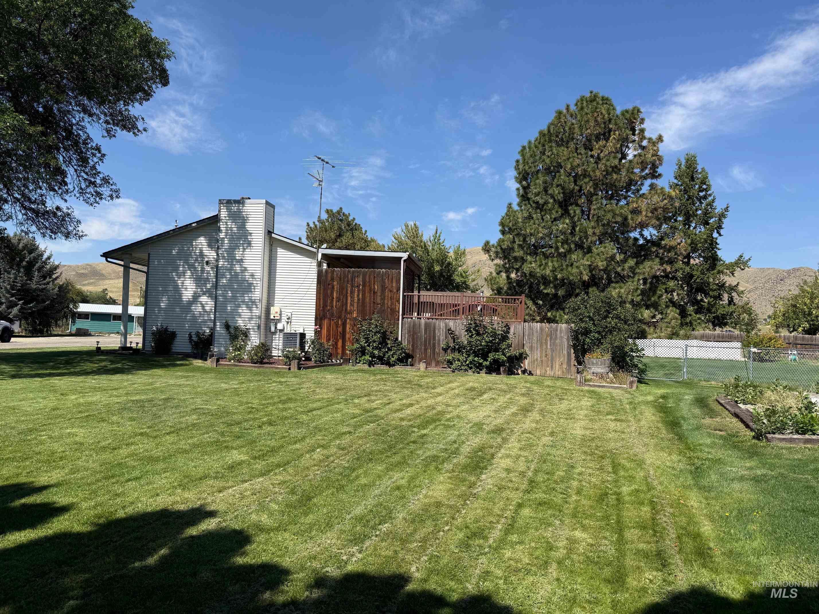 View of yard with a vegetable garden