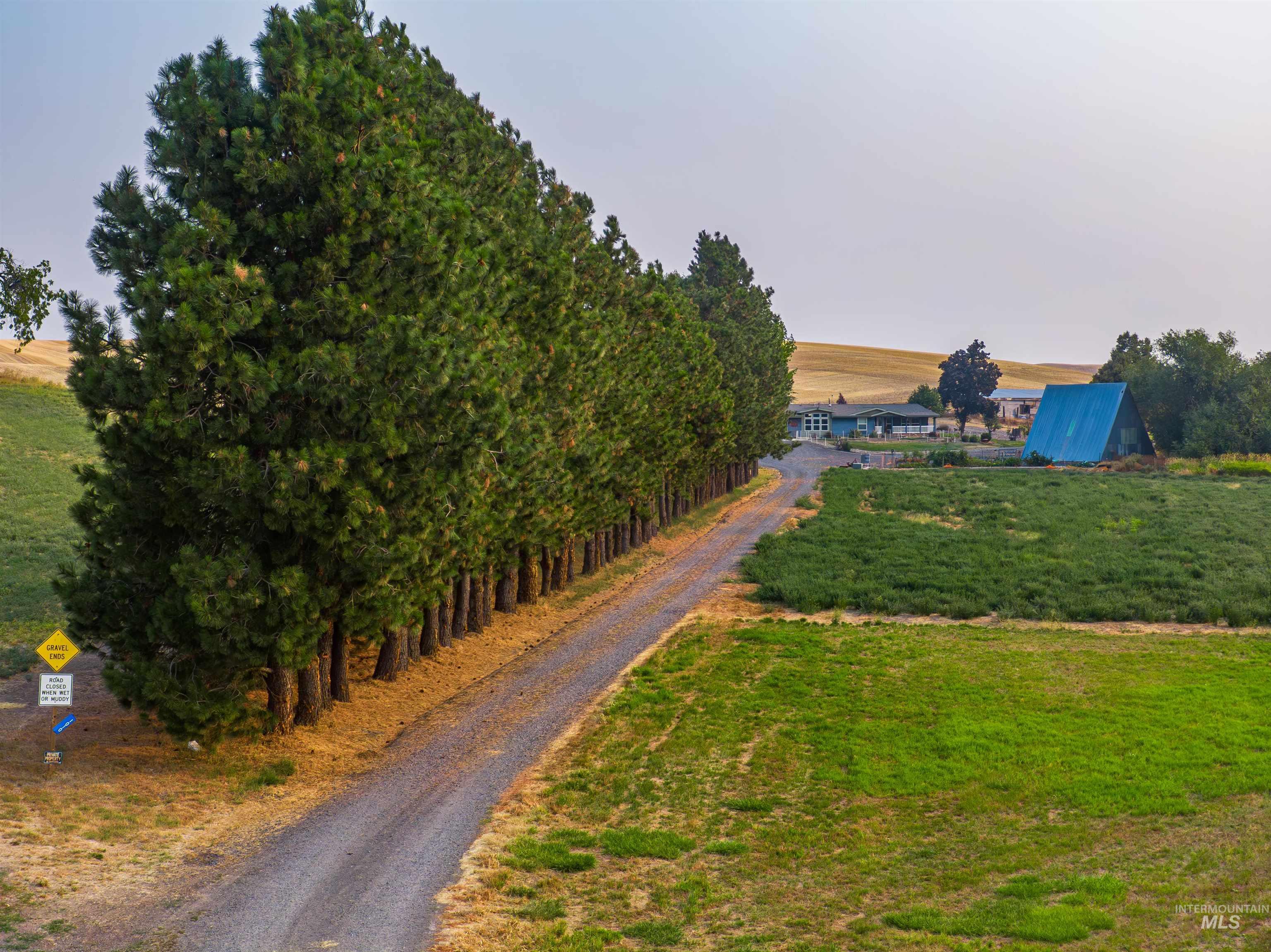 View of green lawn with a rural view