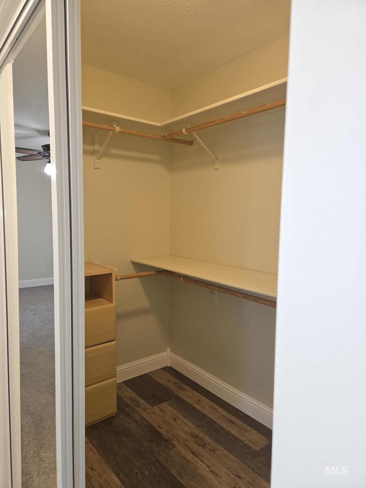 Walk in closet featuring dark wood-style flooring