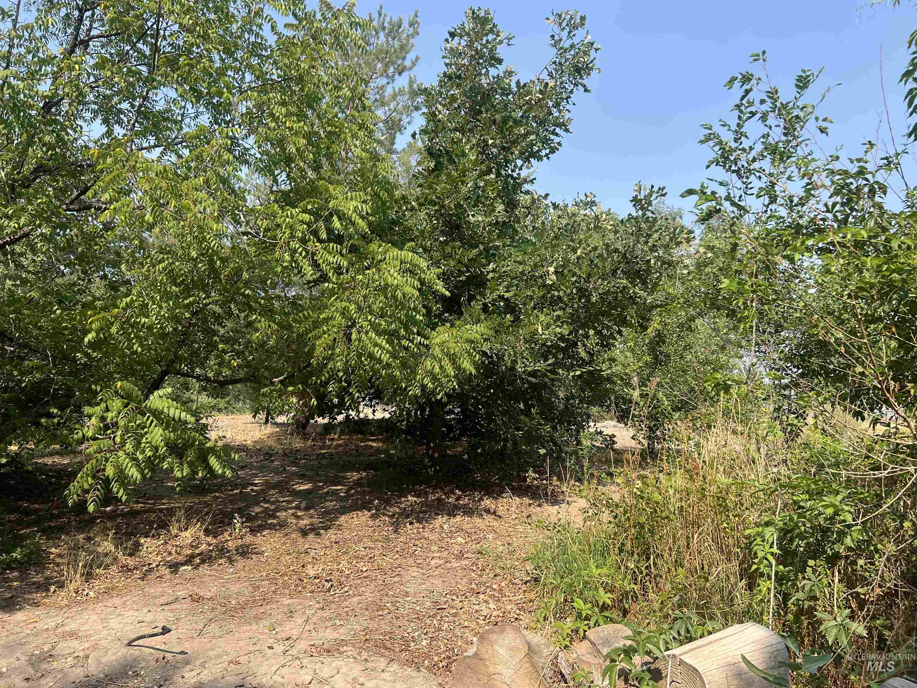 View of nature