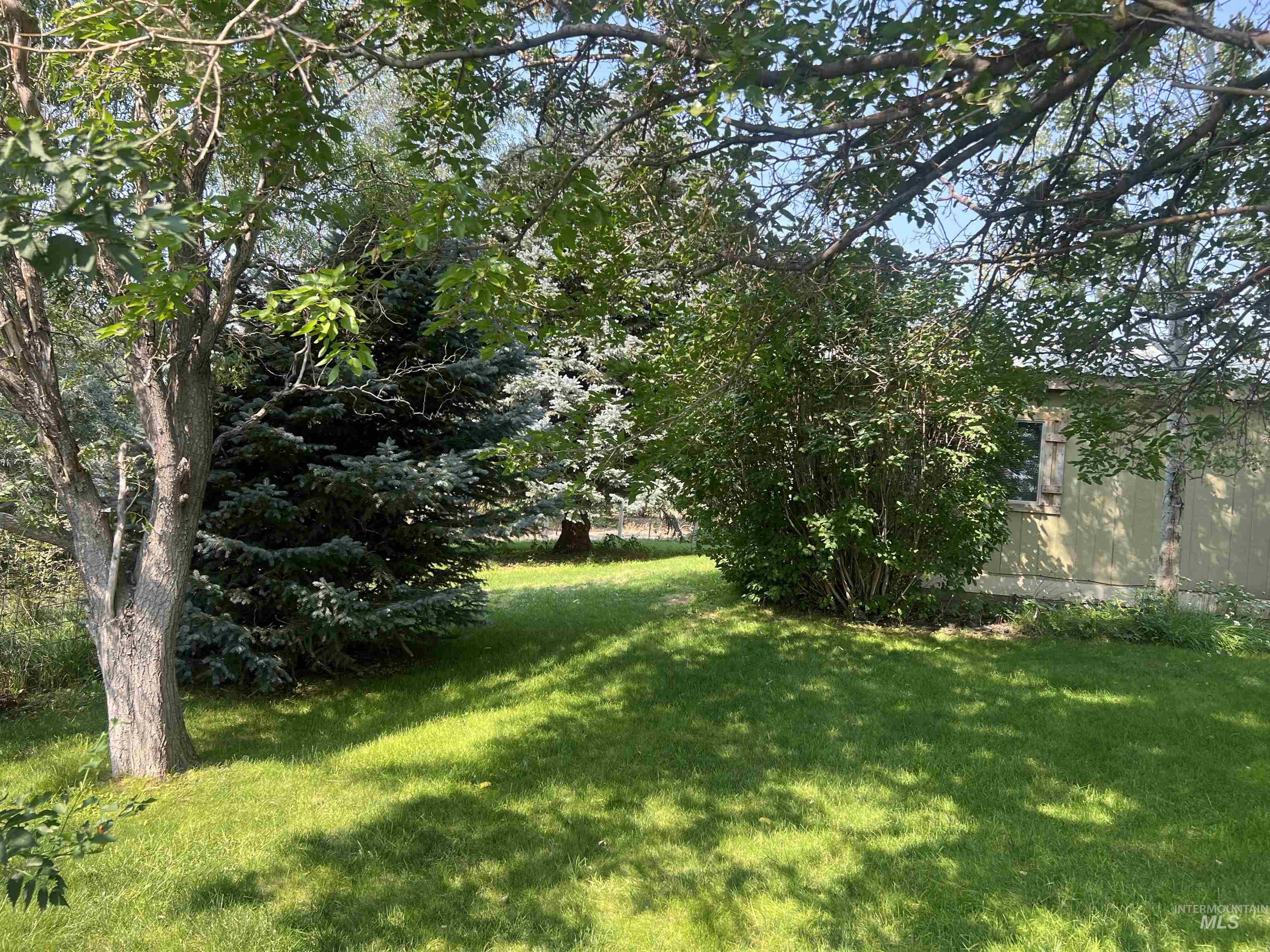 View of green lawn