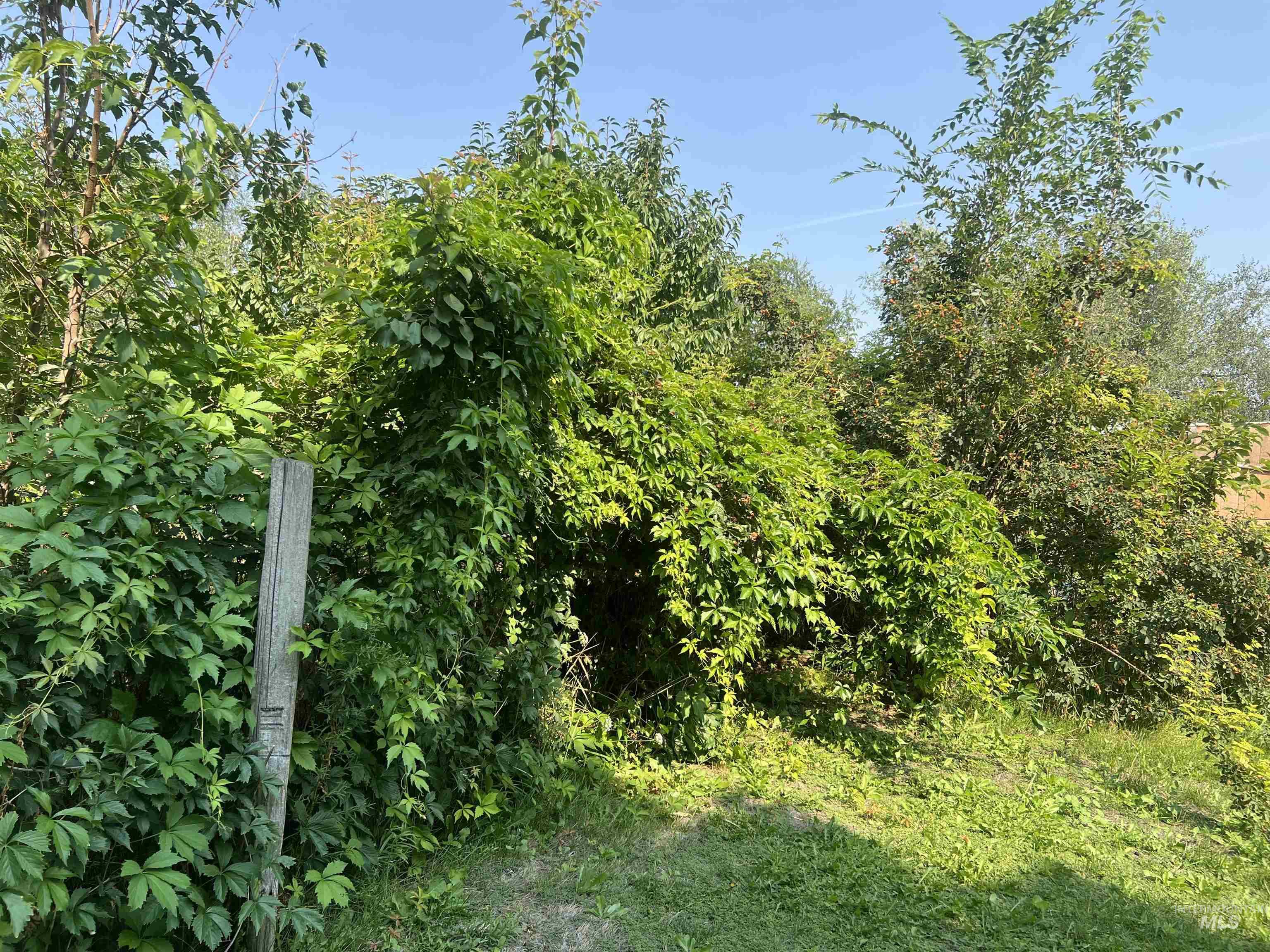 View of undeveloped land