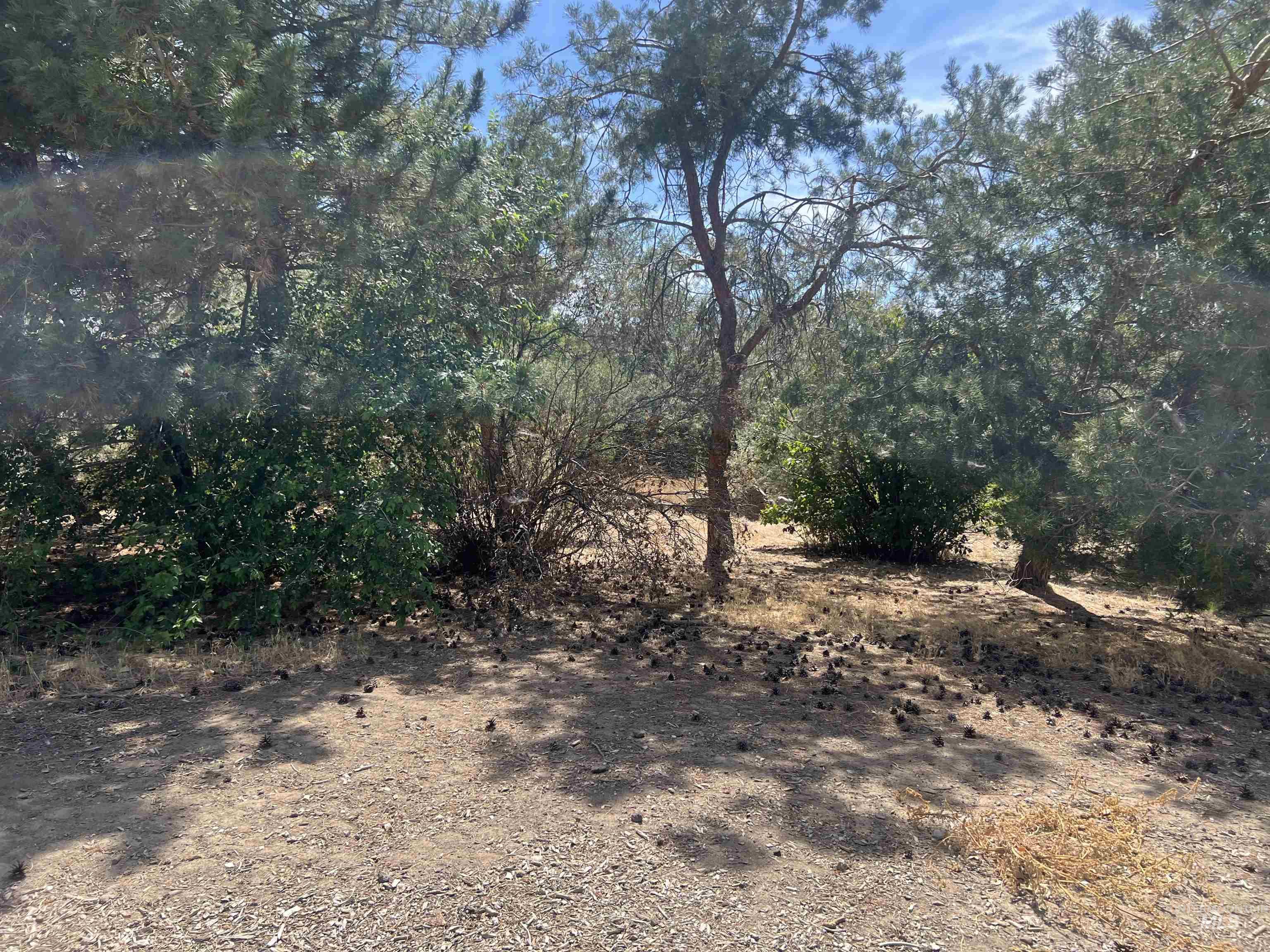 View of undeveloped land