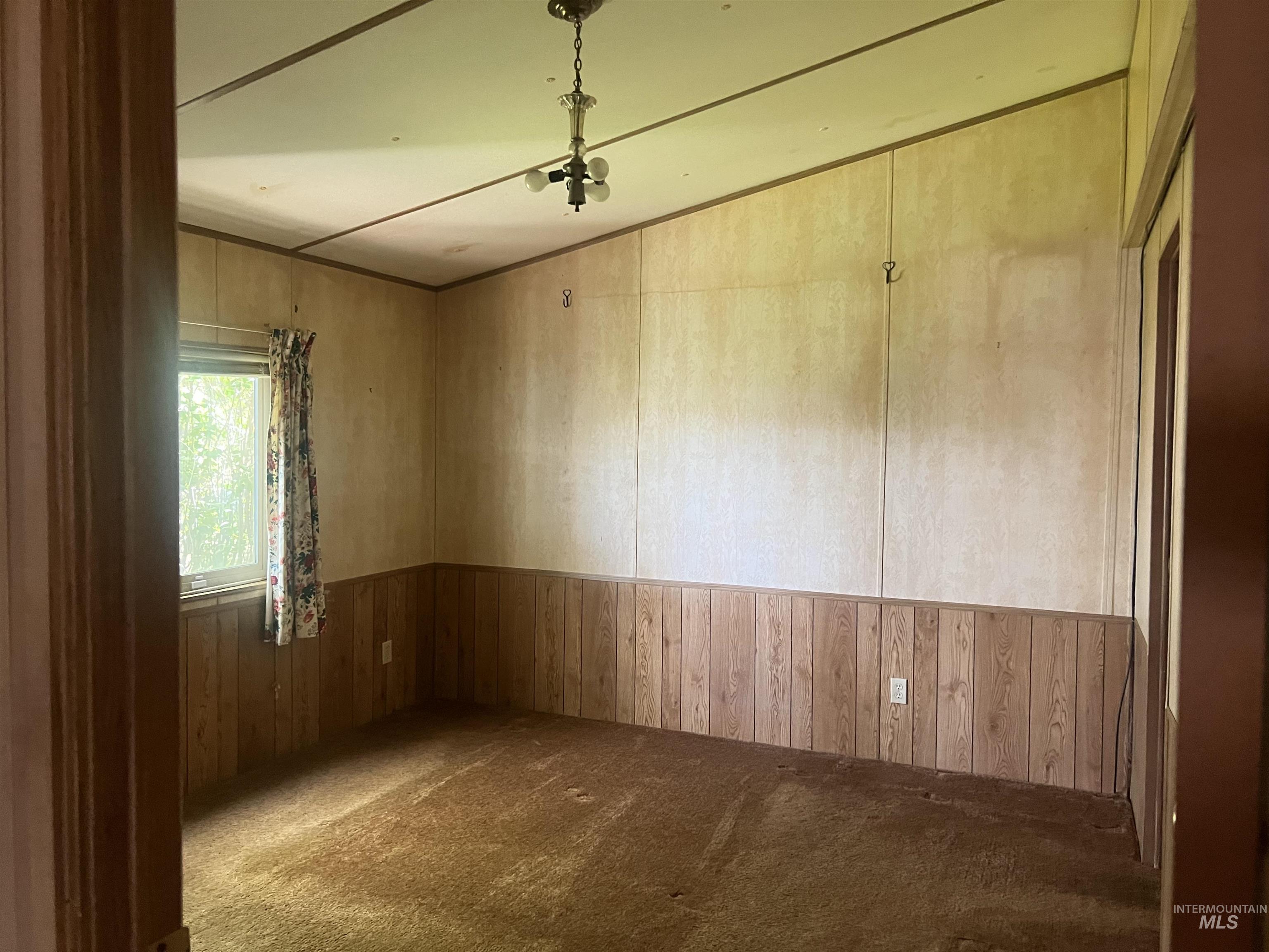 Carpeted spare room featuring wood walls