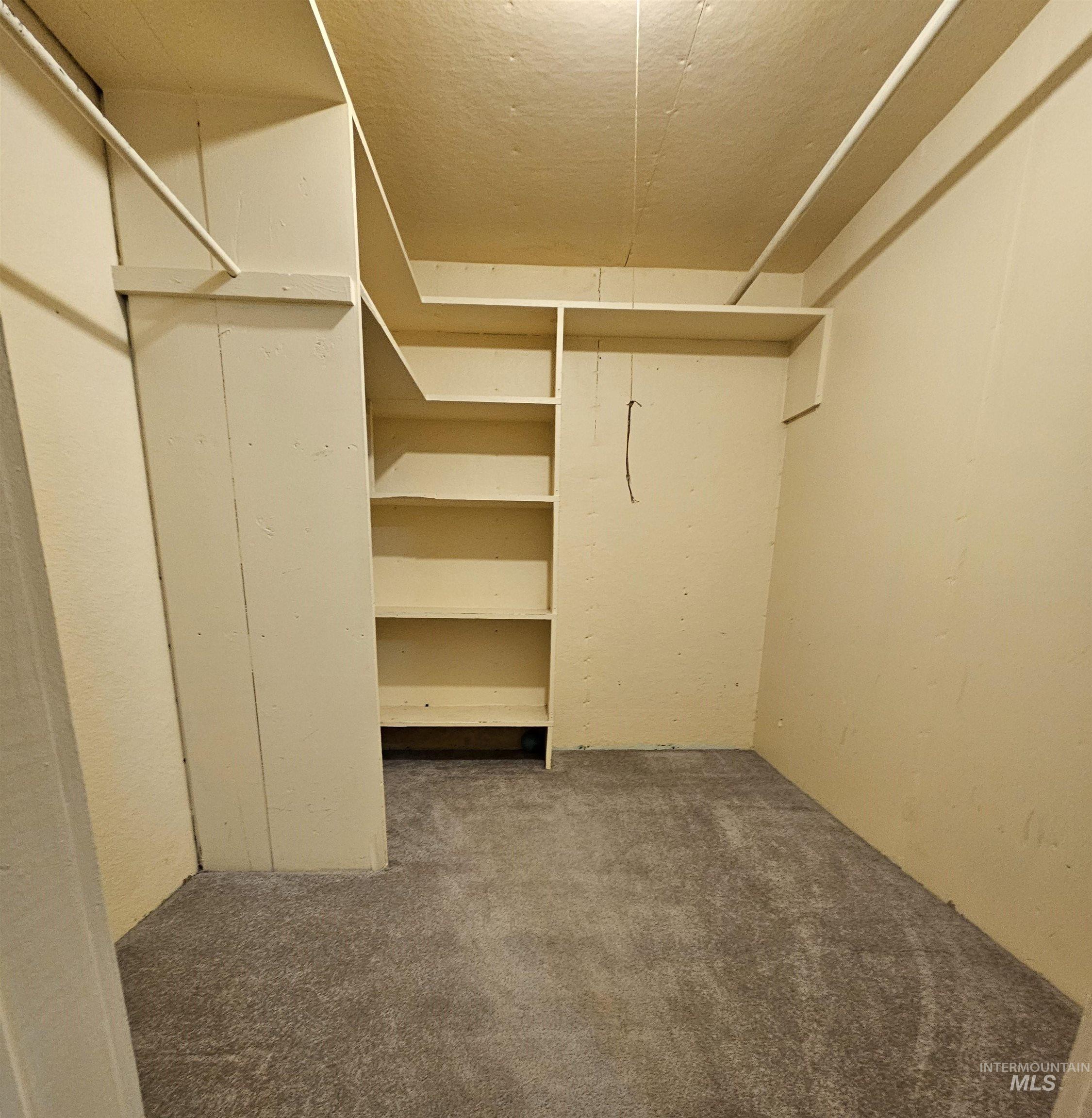 Walk in closet featuring dark colored carpet