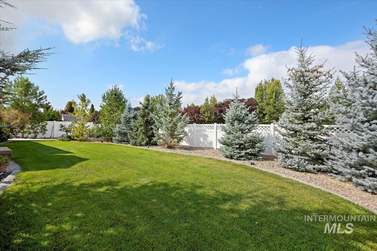 View of fenced backyard