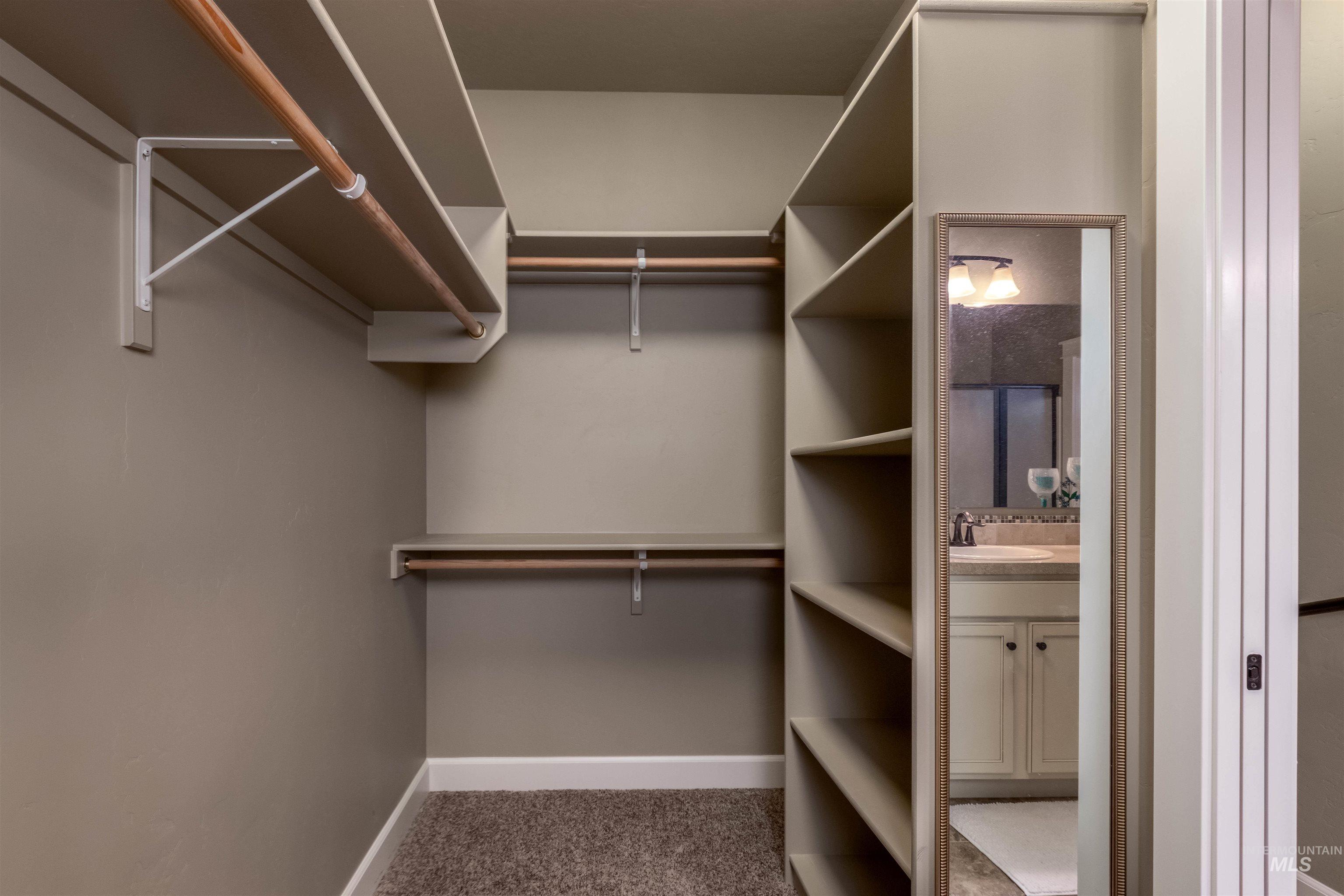 Spacious closet with light carpet and a sink