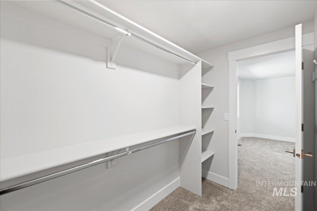 Walk in closet featuring light colored carpet
