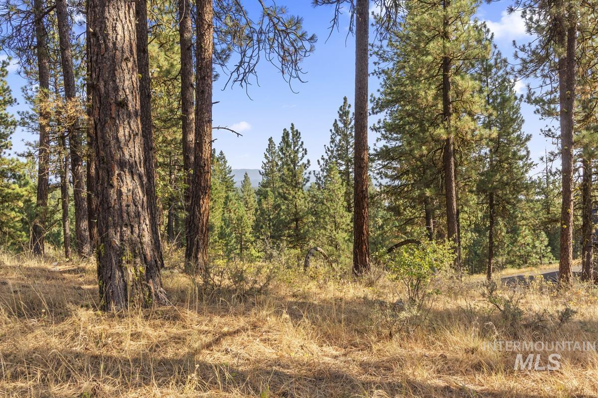 20 Joshua Drive, Cascade, Idaho 83611, Land For Sale, Price $240,000, 98961024