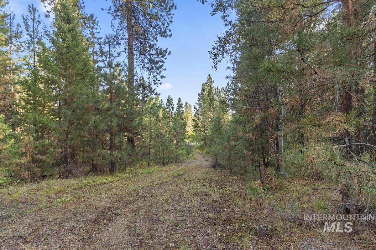 20 Joshua Drive, Cascade, Idaho 83611, Land For Sale, Price $240,000, 98961024